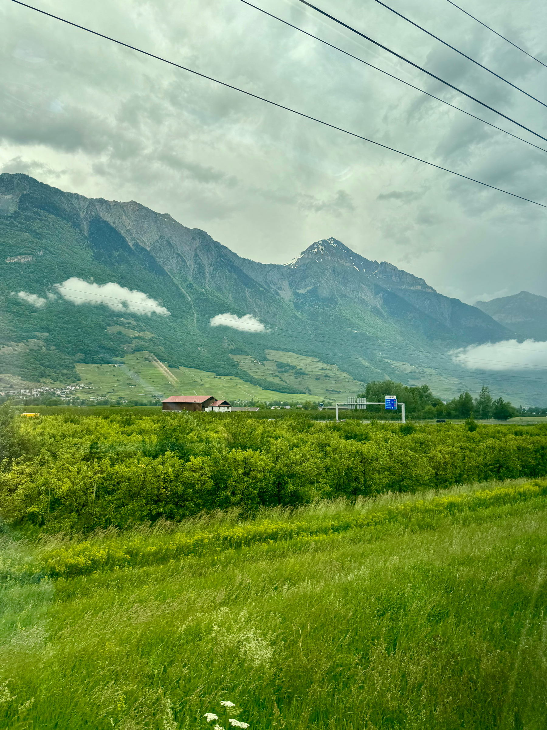 A verdant landscape with a solitary house, lush green fields, and a backdrop of towering, mist-shrouded mountains, partially obscured by power lines in the foreground.