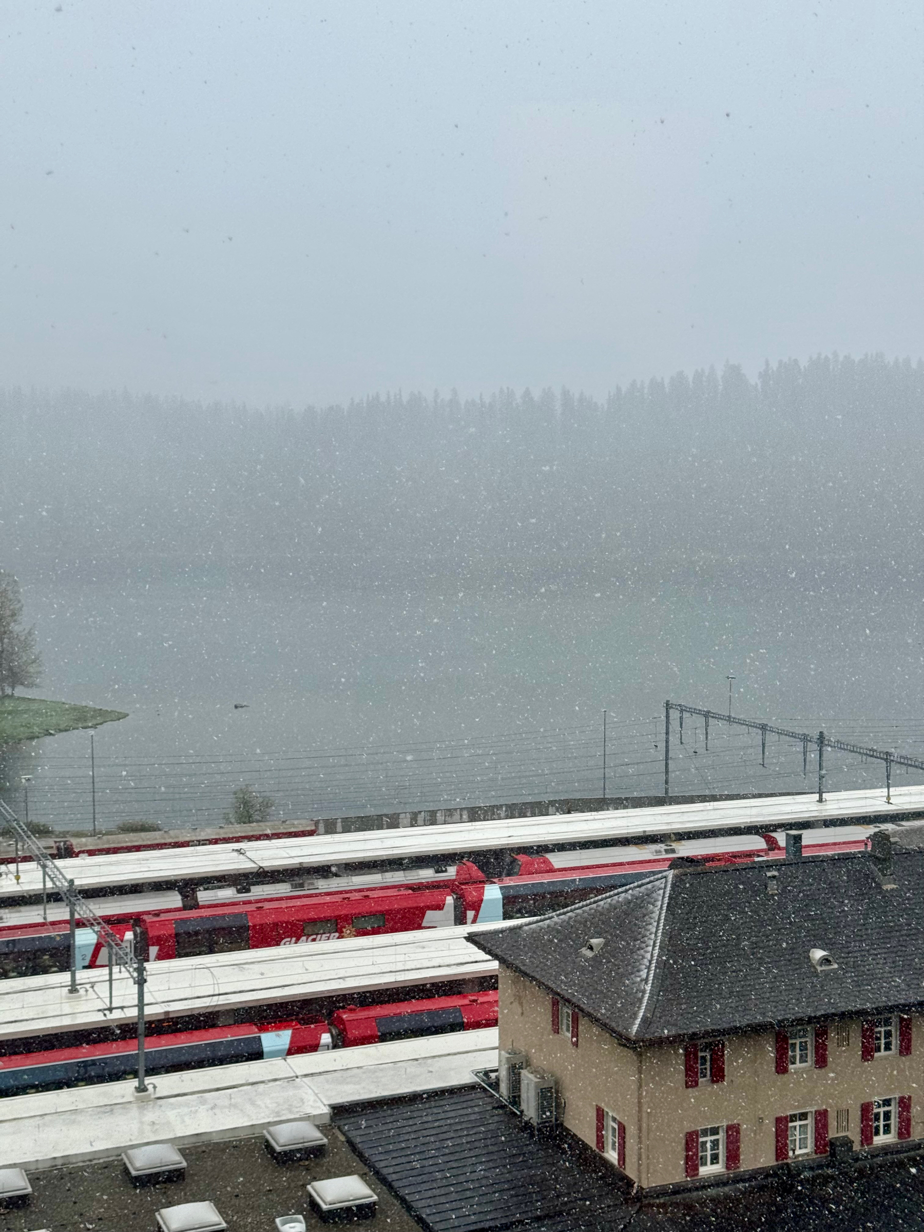 Snow falling over a train station with red trains and a building in the foreground. Trees and a lake are visible in the misty background.