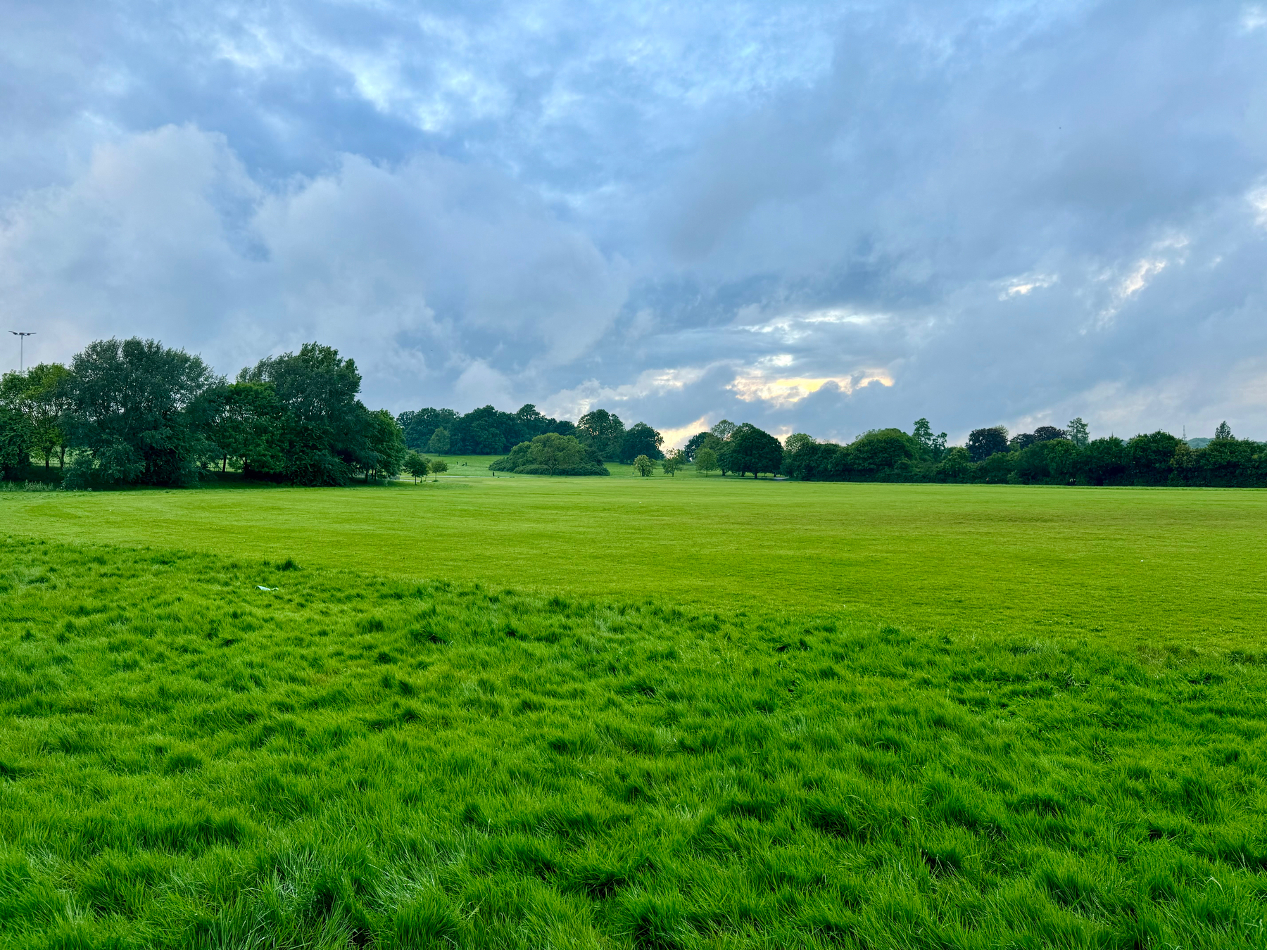A lush green field with trees on the periphery under a cloudy sky.