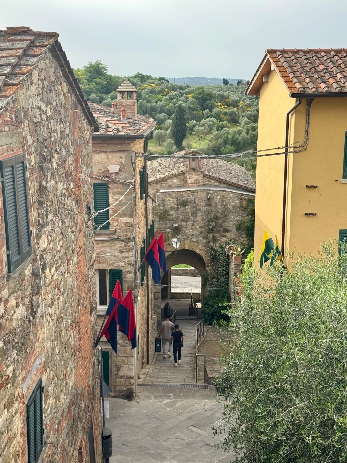 A narrow stone alley in a quaint village lined with rustic buildings adorned with red and blue flags. Two people walk down the steps towards an archway. Greenery and trees are visible in the background, adding to the scene’s charm.