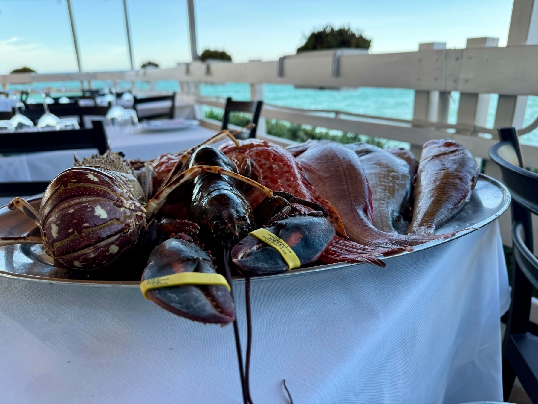 A platter of fresh seafood, including various types of fish and a lobster with rubber bands around its claws, is displayed on a white tablecloth in an outdoor dining setting with a sea view in the background.