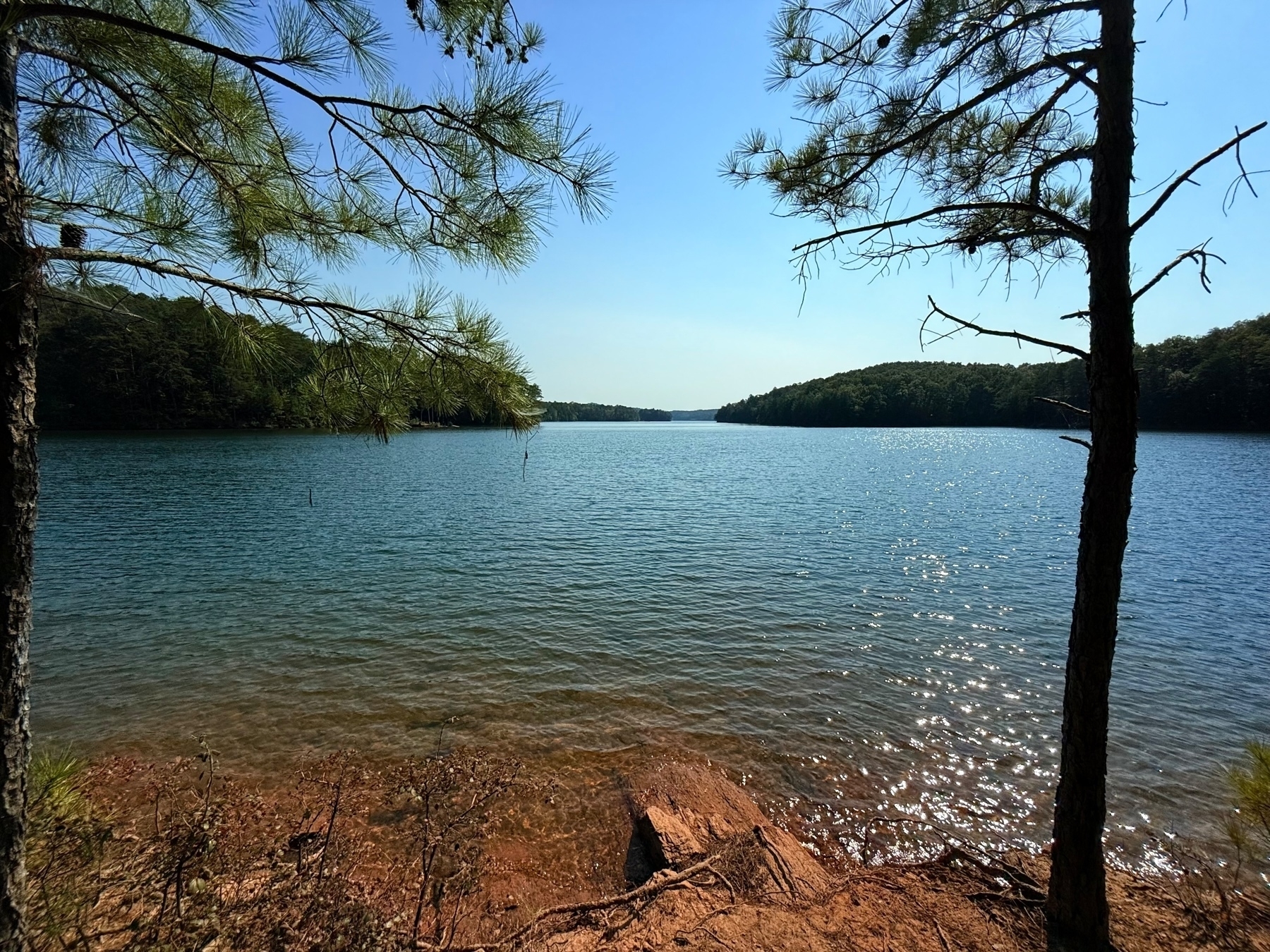 A serene lake scene with clear blue water and a forested shoreline in the background. Pine trees frame the view from the shore, and sunlight sparkles on the water.