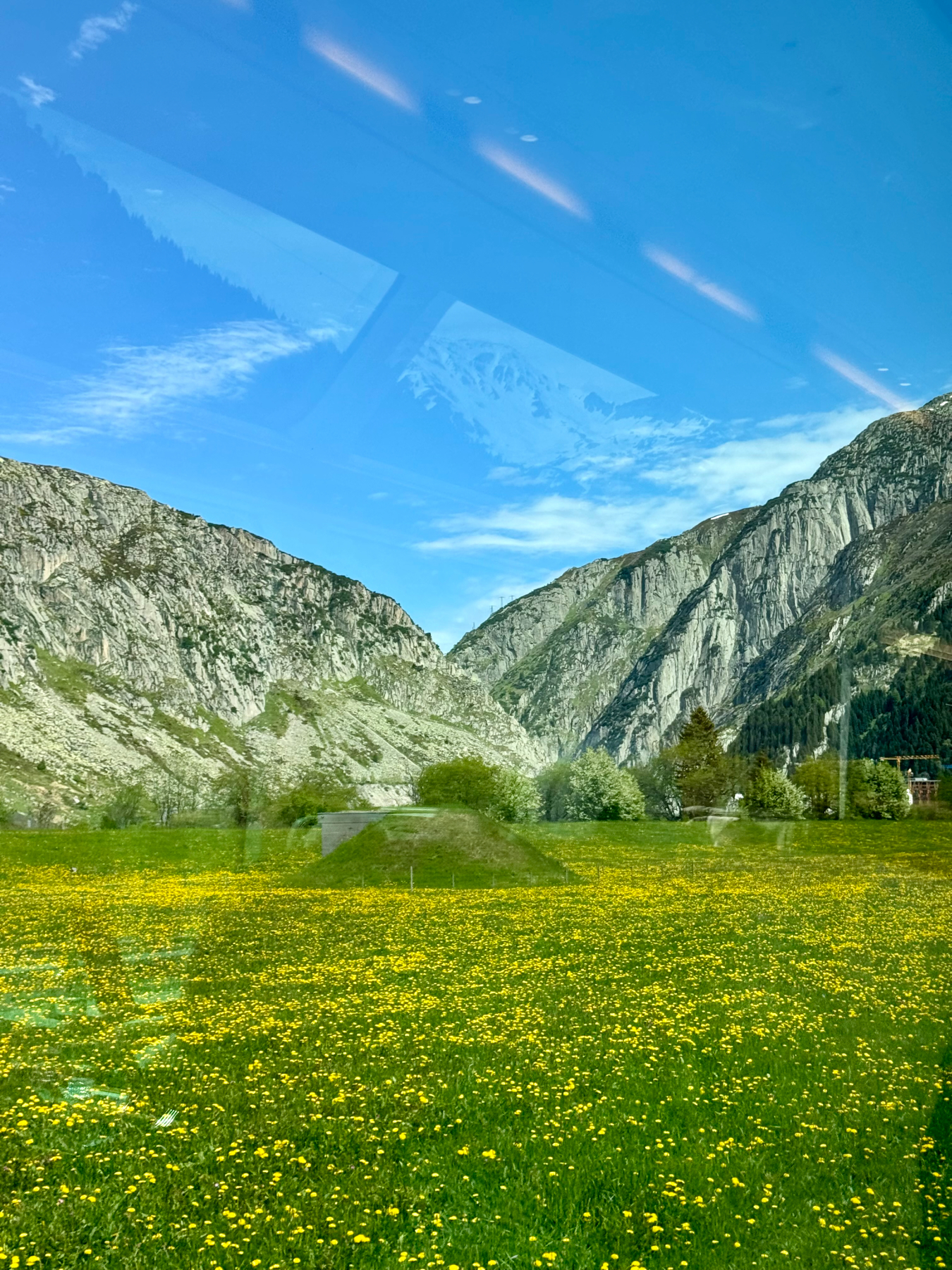 A vibrant field of yellow flowers with a backdrop of towering mountains and a clear blue sky, taken from behind a window as evidenced by light reflections visible across the image.