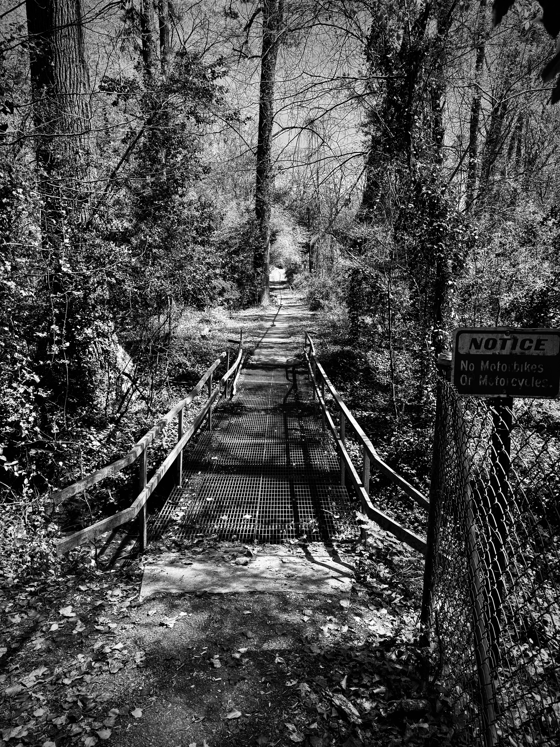 A black and white photo of a narrow steel footbridge in a wooded area with a sign stating “NOTICE No Moto bikes Or Motorcycles.” Leaf-covered ground borders the path leading to the bridge.