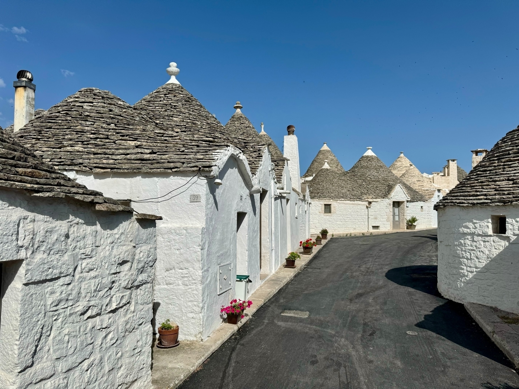 This image shows a narrow street lined with traditional whitewashed stone houses featuring conical roofs, known as trulli, under a clear blue sky. The houses have small flower pots placed along the sidewalk. The overall scene is bright and tranquil.