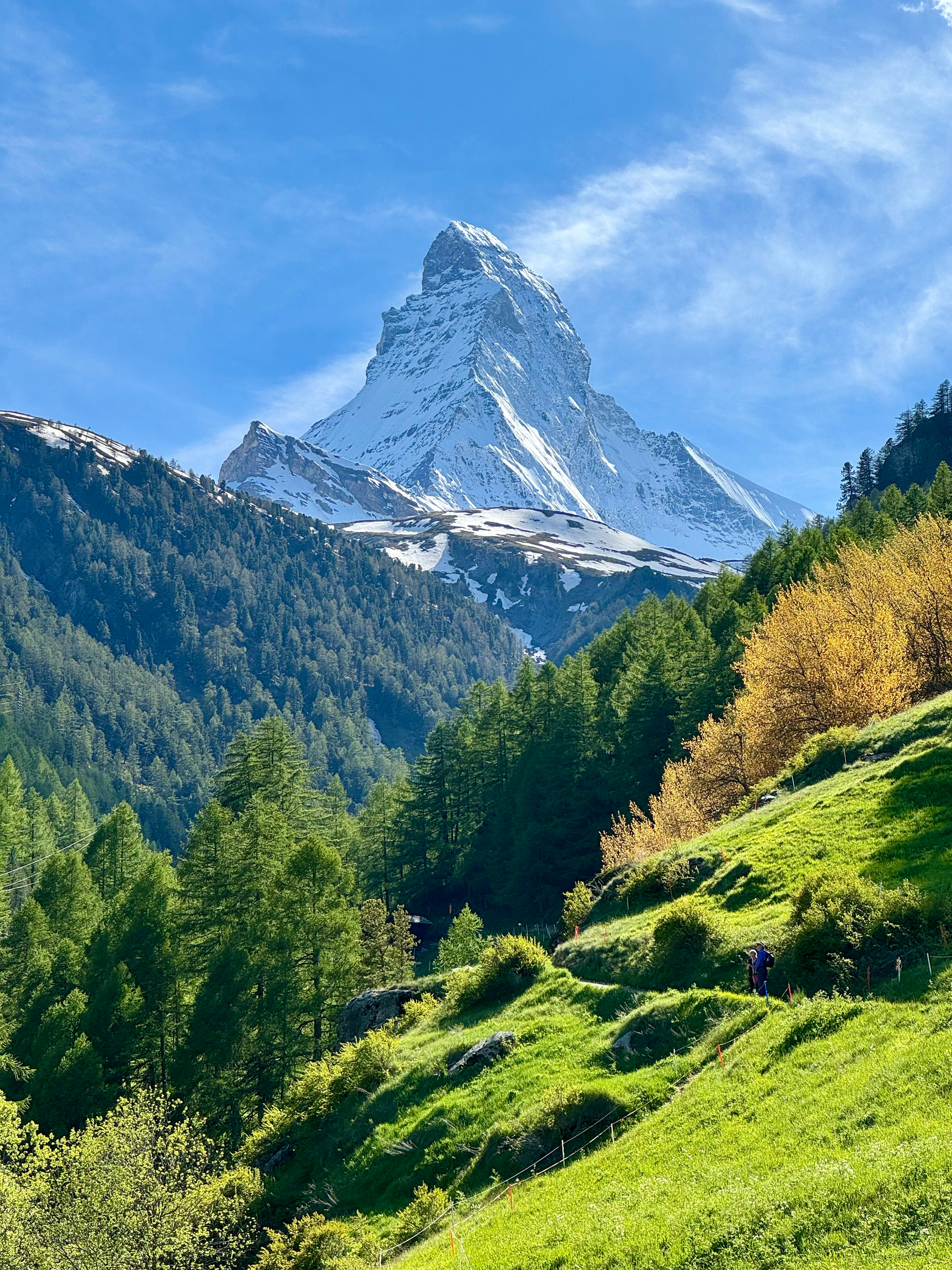 A majestic, snow-capped mountain peak rising behind a green, forested hillside with a clear blue sky above.