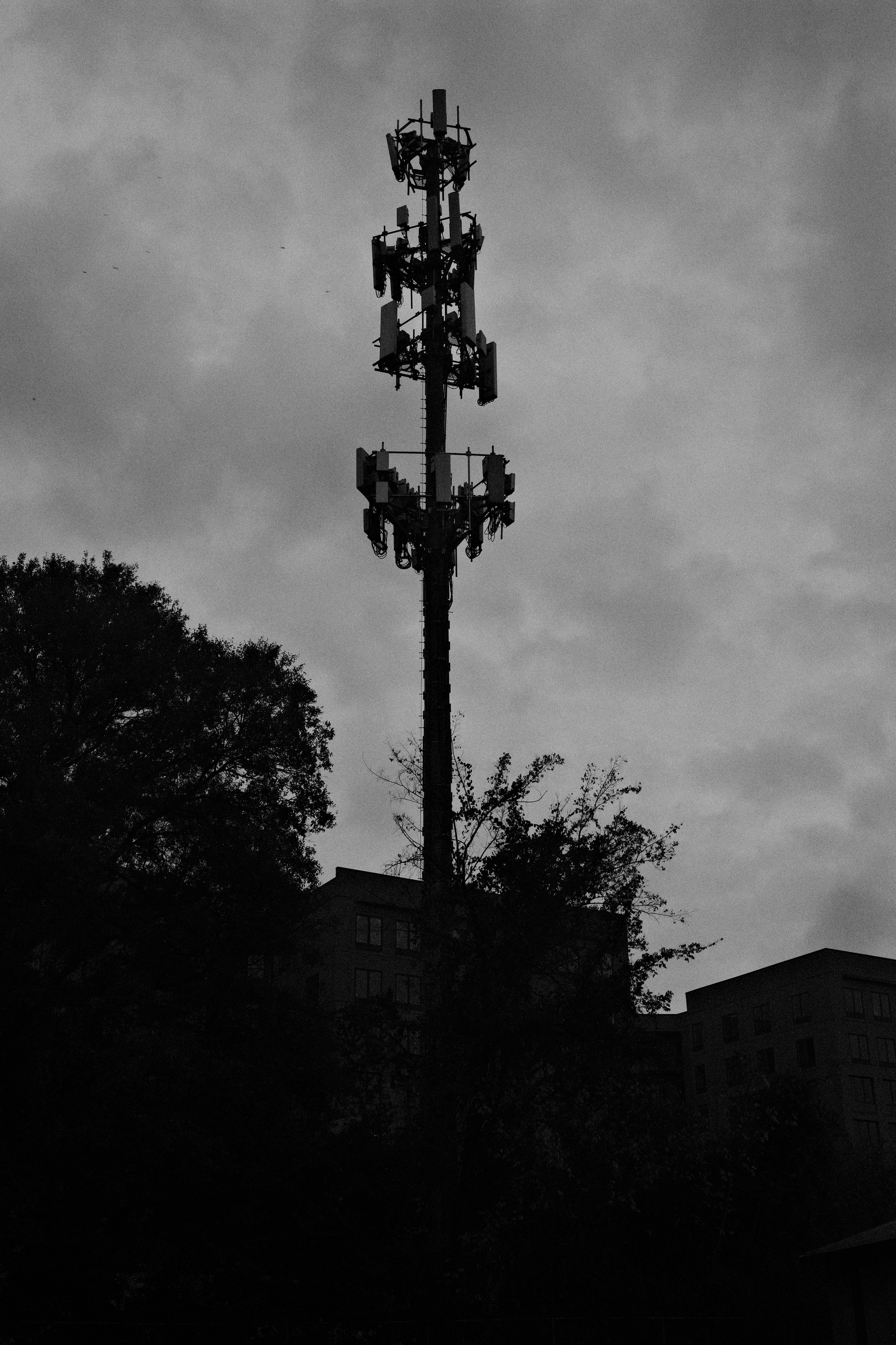 A silhouette of a large cell tower against a cloudy sky, surrounded by trees and building outlines.