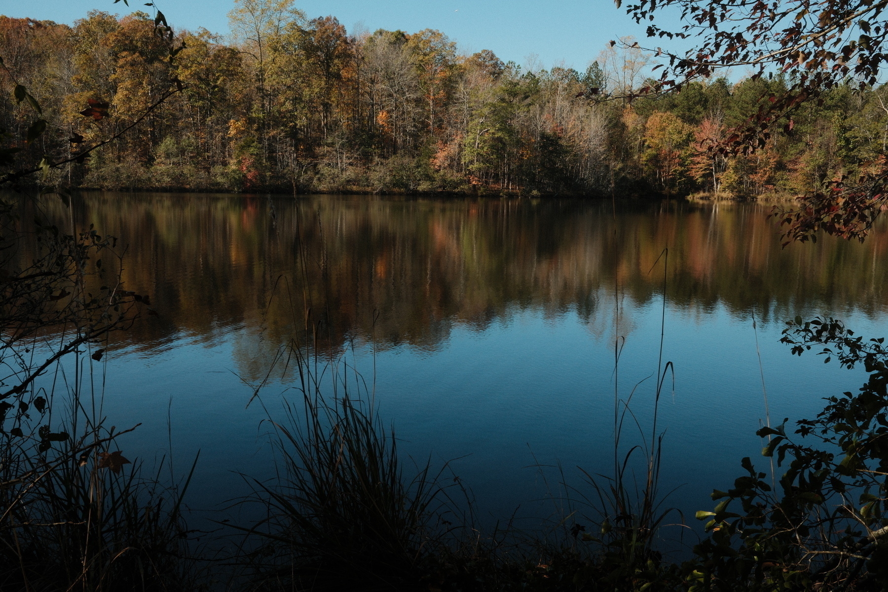 Auto-generated description: A serene lake is surrounded by trees with autumn foliage, reflecting on the calm water.