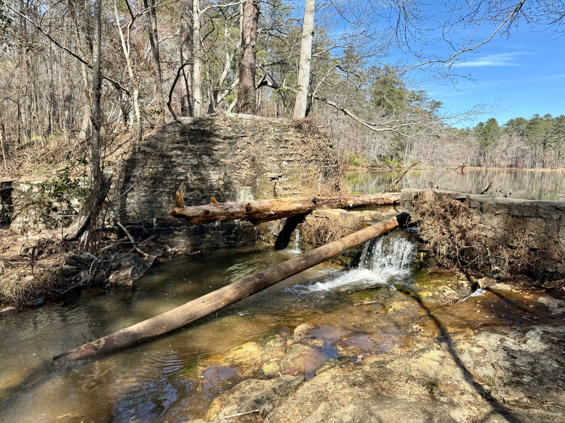 A small waterfall flowing from a forest creek through a stone wall, with fallen logs and bare trees surrounding it, reflecting a clear blue sky above.
