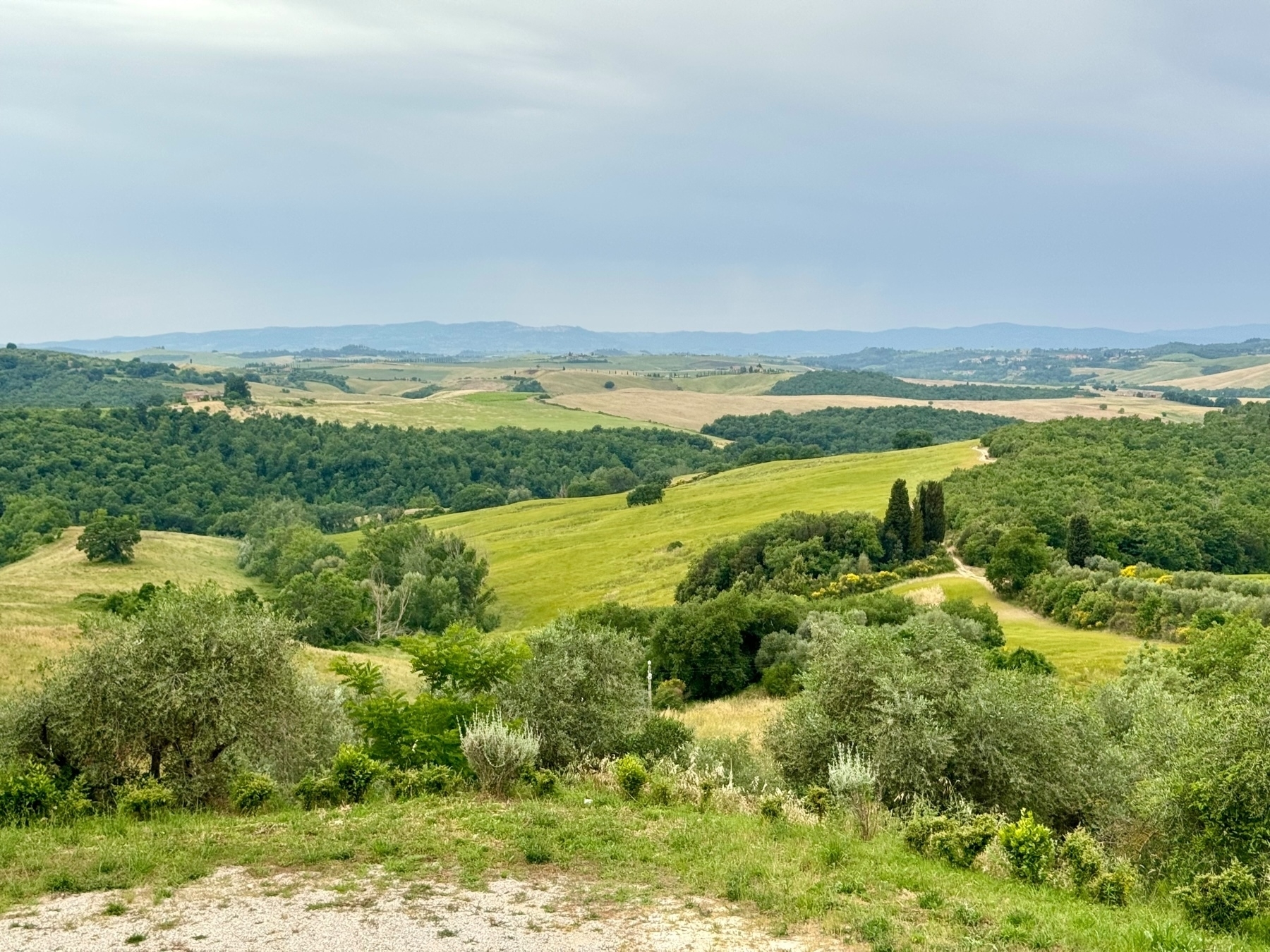 Rolling countryside with green fields and wooded areas under a cloudy sky. Dirt paths weave through the landscape, and distant hills are visible on the horizon. A serene, natural setting.