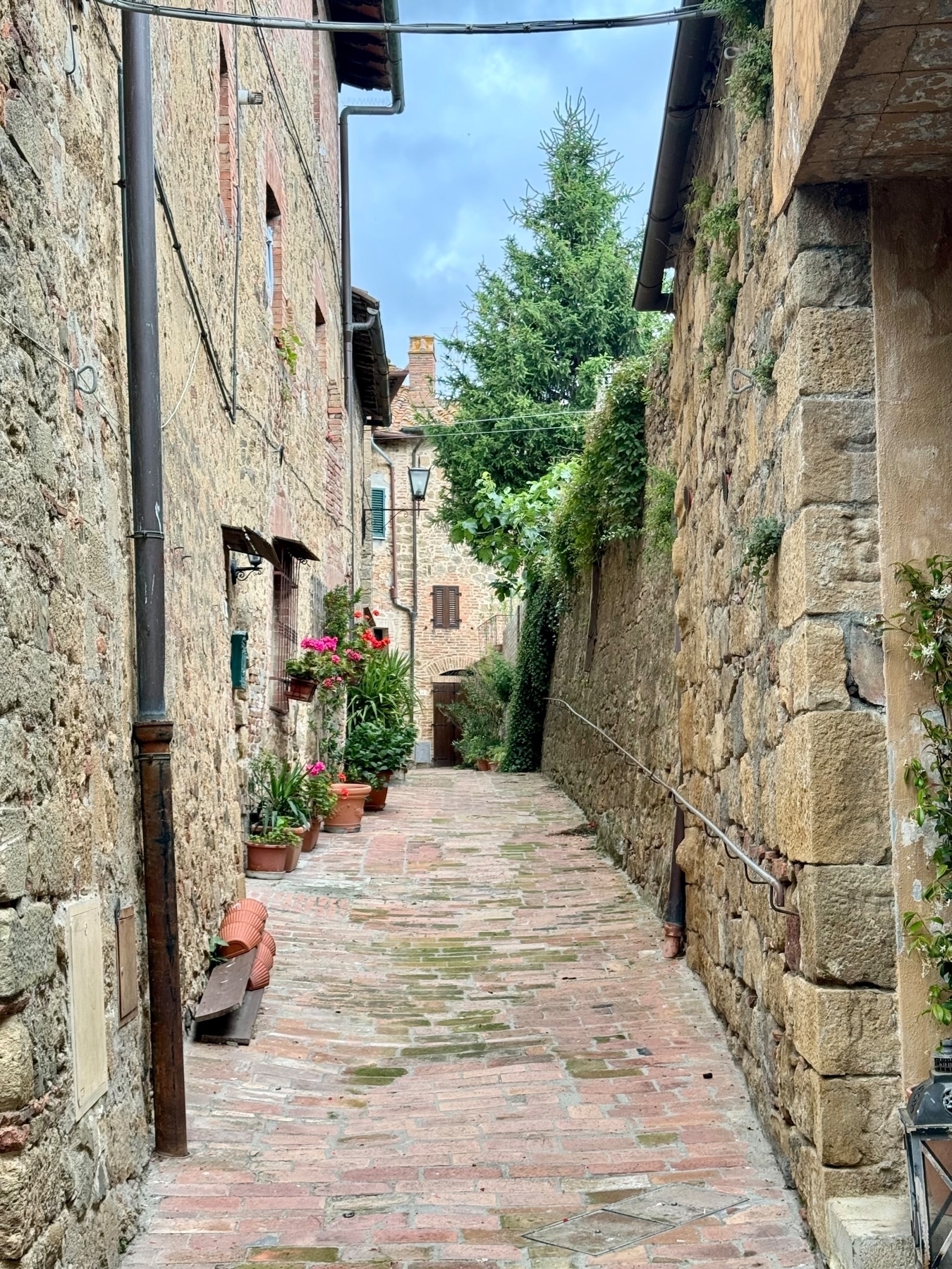 A narrow cobblestone alleyway in an old town, lined with rustic stone buildings. Flower pots with colorful blooms decorate the path. Greenery, including potted plants and a tree, adds to the charm. An overcast sky is visible above. 