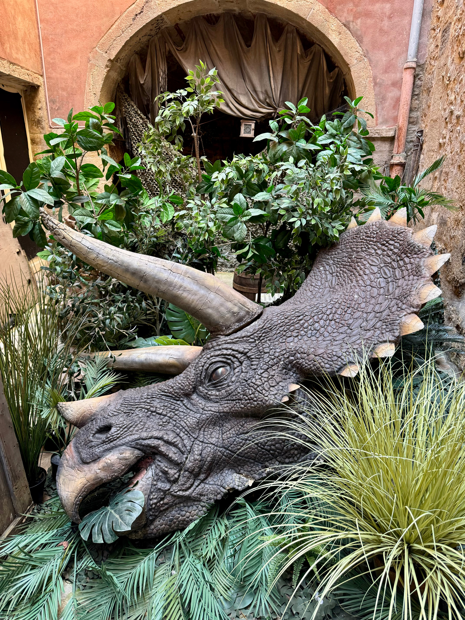 A life-size model of a Triceratops head in a lush garden with plants, positioned in front of an arched doorway draped with a curtain.