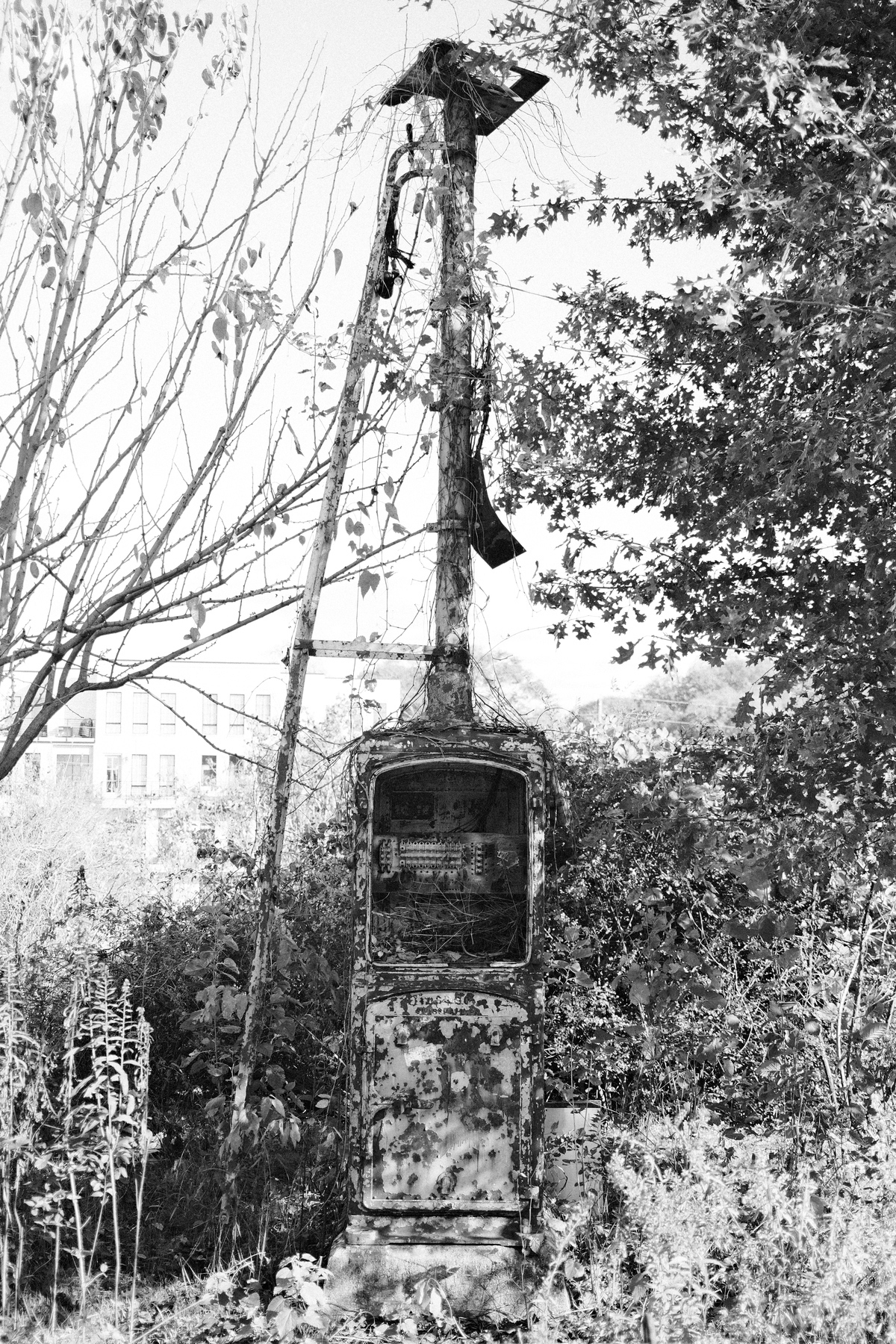 An old, rusted metal structure is overtaken by vegetation in an overgrown area.