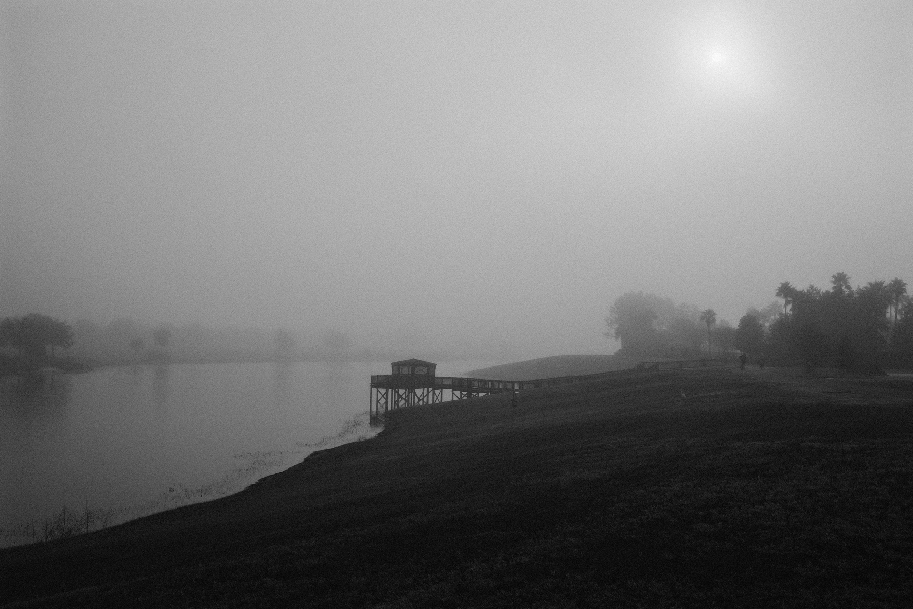 Auto-generated description: A misty landscape with a calm pond, a wooden structure on stilts, and silhouetted trees under a hazy sun.