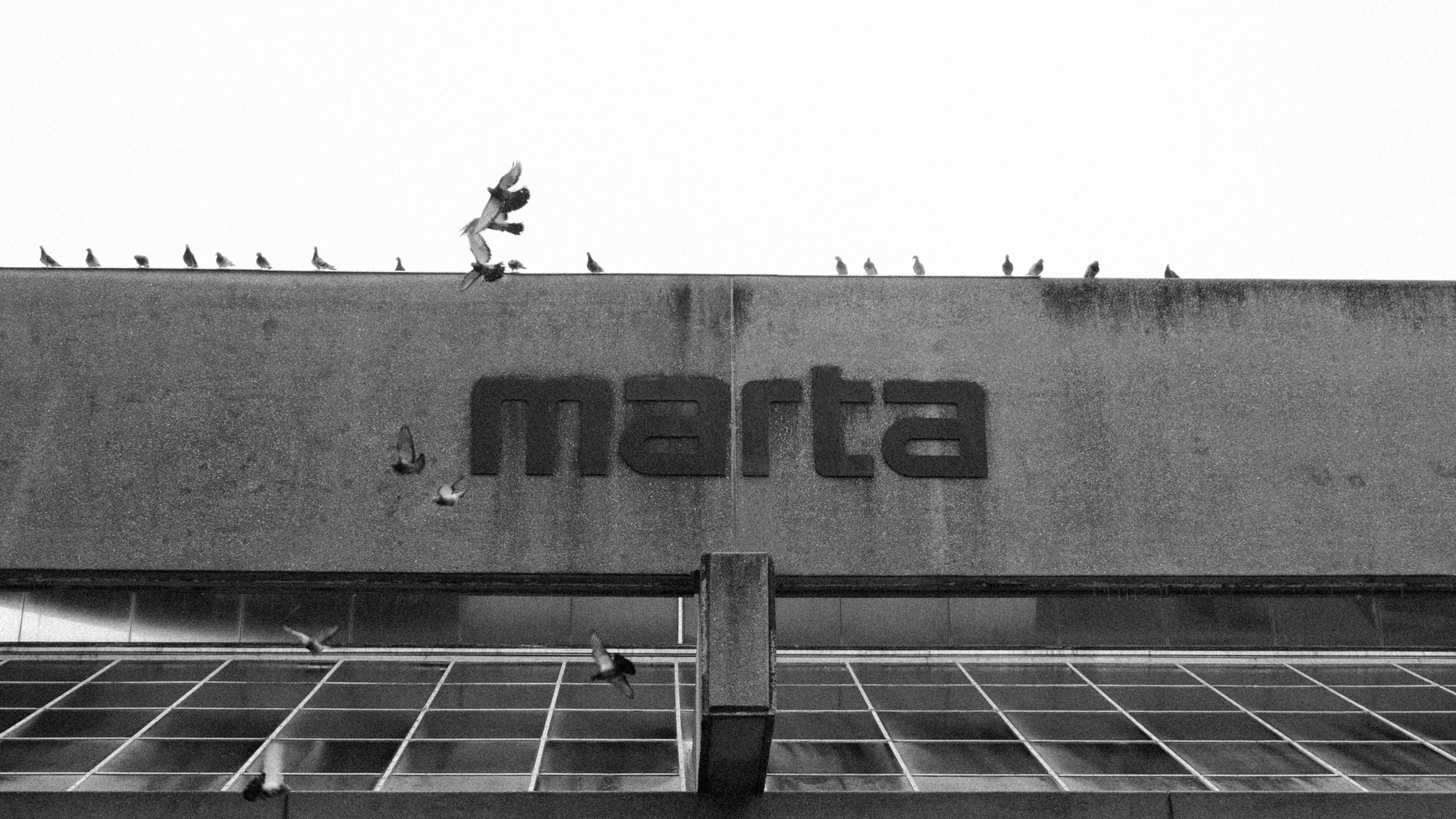 Auto-generated description: Pigeons perch on the roof of a building with the word marta displayed on its facade.