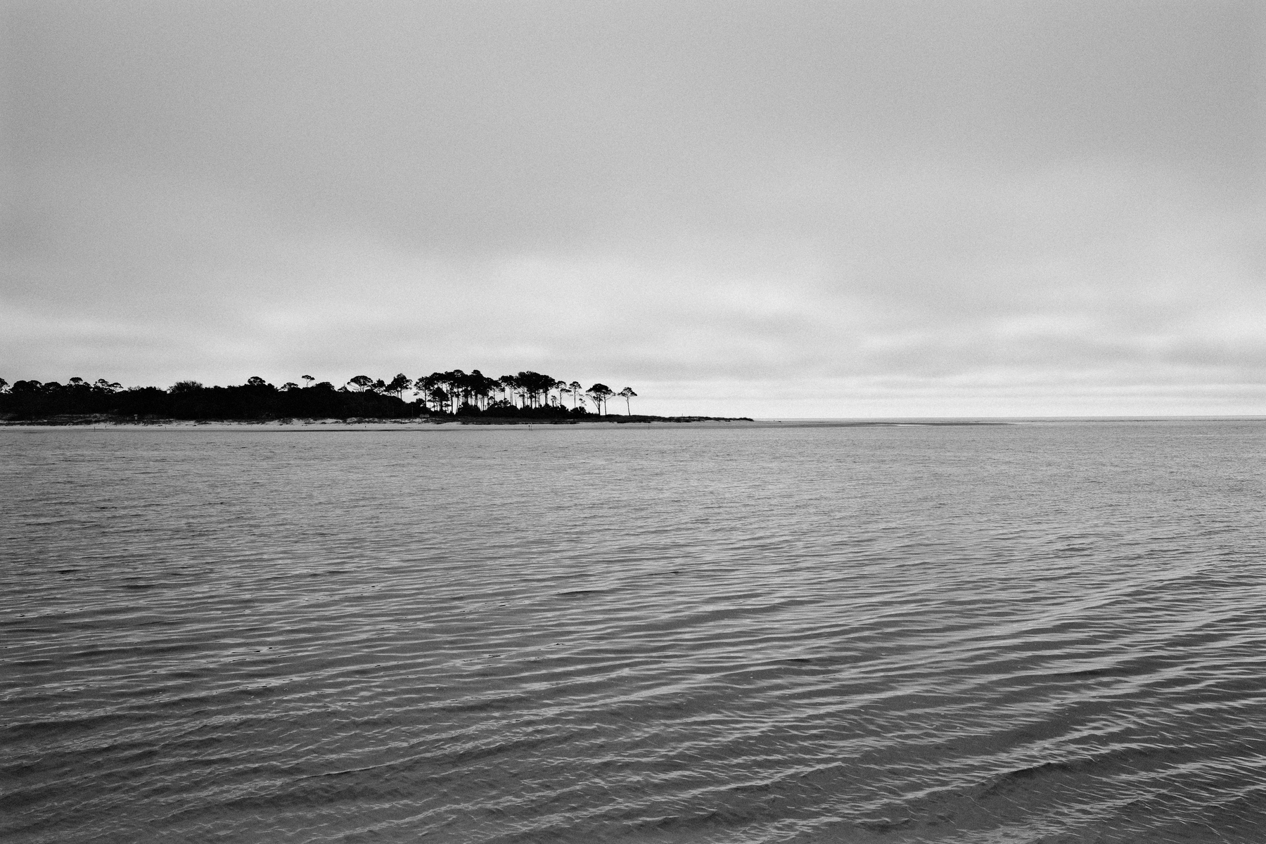 Auto-generated description: A calm seascape with a distant tree-lined shore under a cloudy sky.