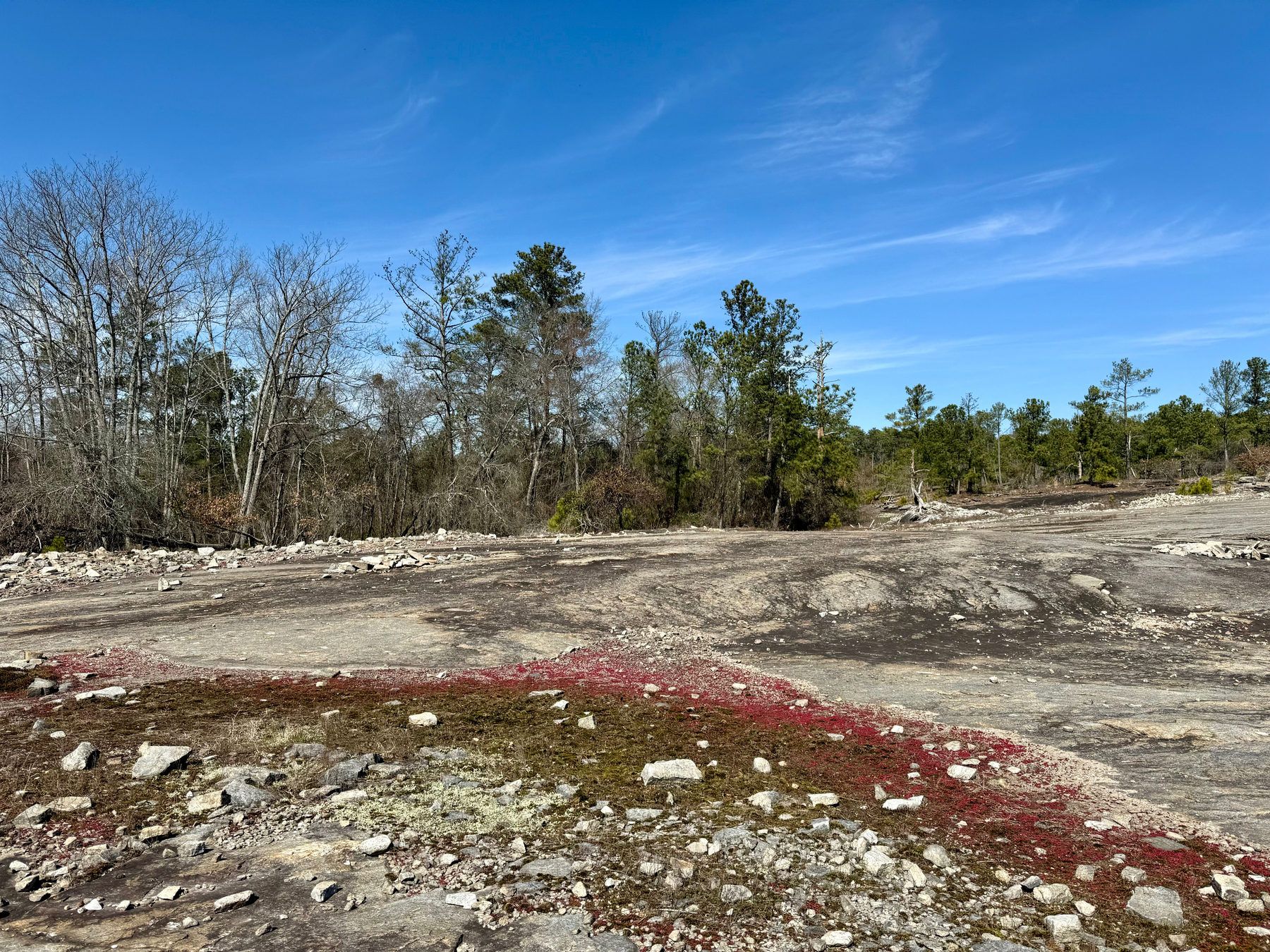 A barren landscape with exposed rocky terrain and sparse vegetation under a clear blue sky. The foreground shows patches of red-hued ground cover, and scattered rocks and trees are visible in the distance.