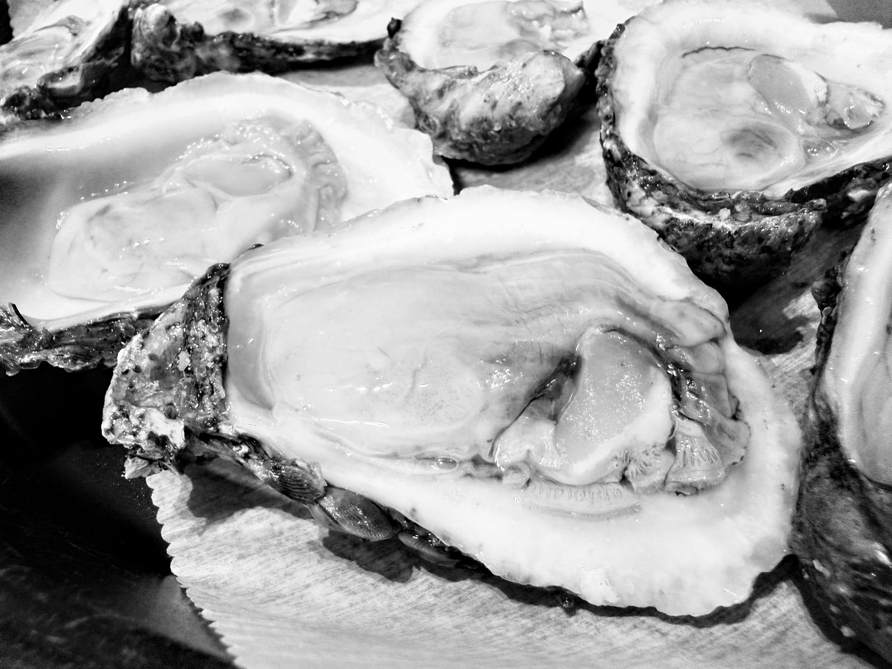 Auto-generated description: A close-up view of several opened oysters on a surface, highlighting their shells and flesh in black and white.