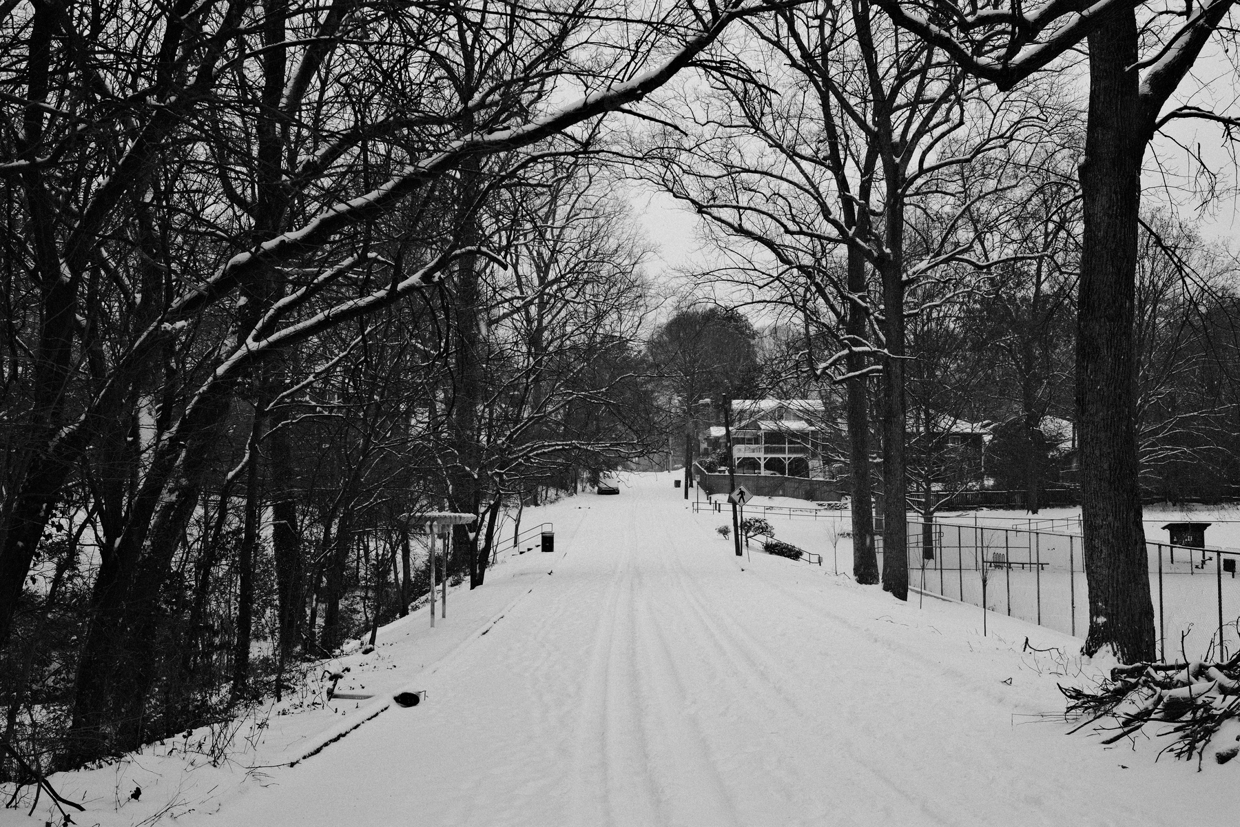 A black and white photograph of a snow-covered road flanked by leafless trees. The road leads to a residential area with houses in the distance. The branches are dusted with snow, creating a serene winter scene.