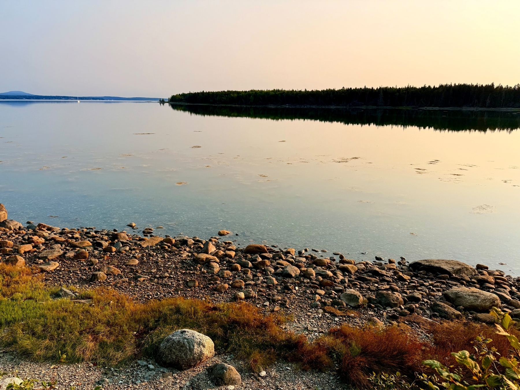 A serene lakeside scene featuring calm water reflecting the sky and distant treeline. The foreground showcases a rocky shoreline with a mix of pebbles and small boulders, accompanied by patches of grass and vegetation. The atmosphere is peaceful. 