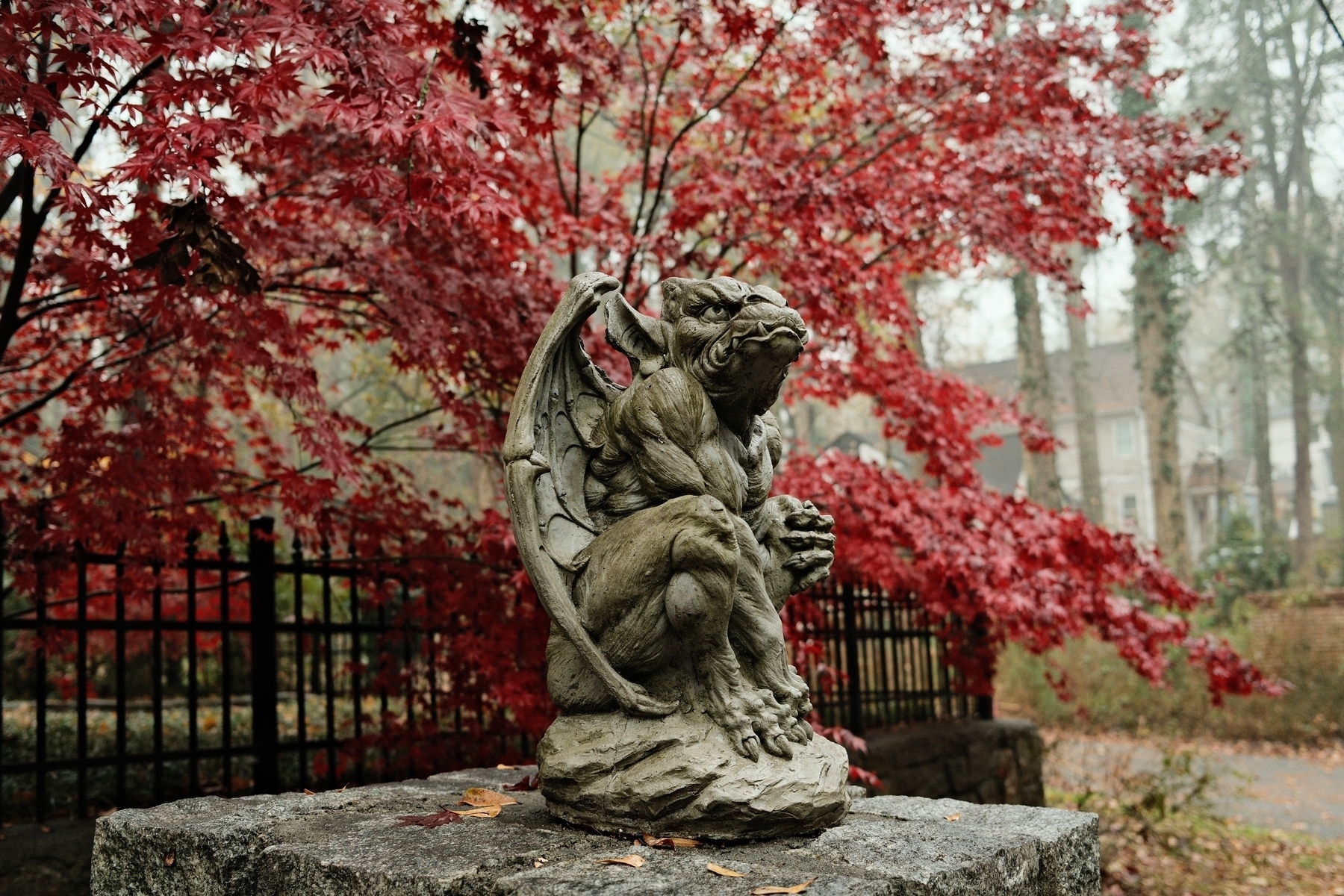 A stone gargoyle statue sitting on a pedestal with red autumn leaves in the background. A black fence and trees are also visible.