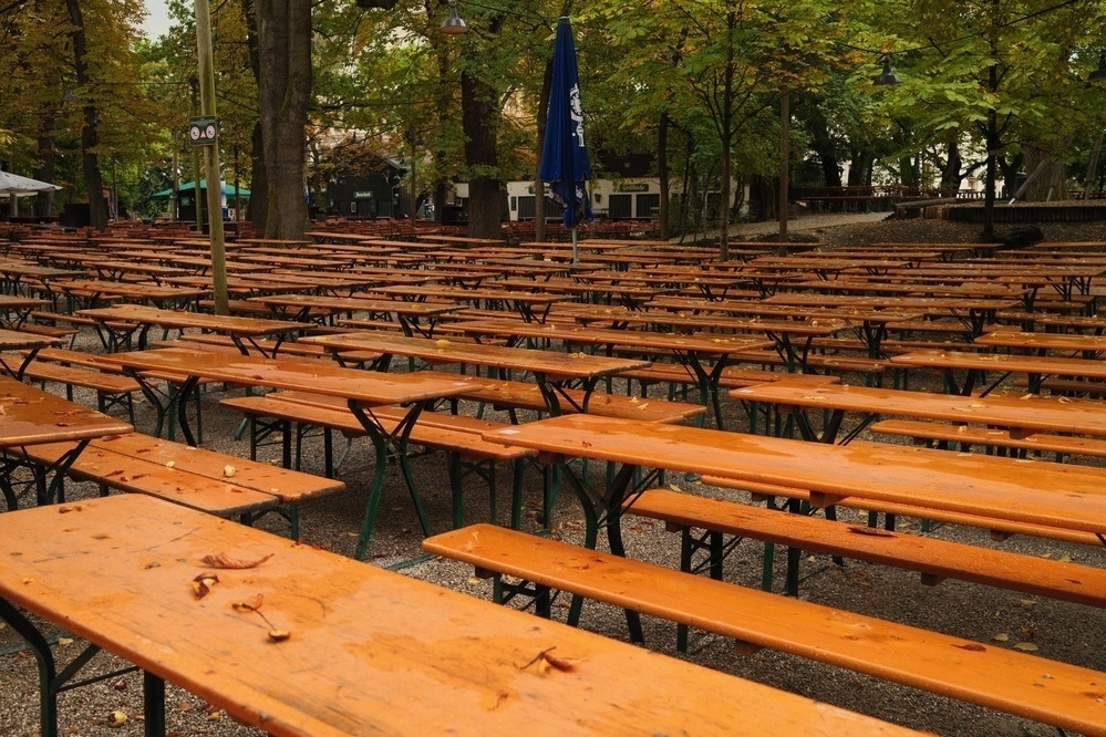 Rows of wooden picnic tables and benches are set up in an outdoor park area surrounded by trees with autumn leaves.
