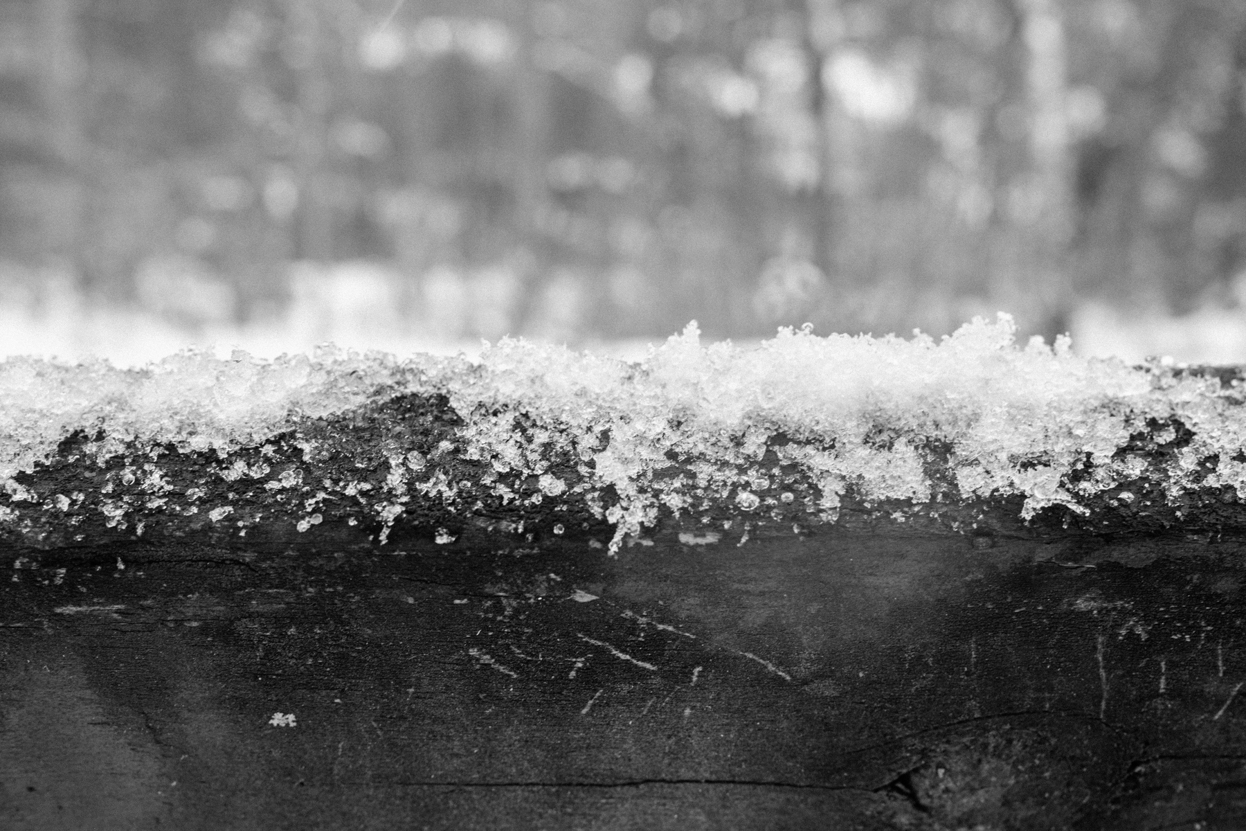 Snow and ice cover the top of a wooden log, with a blurred natural background.