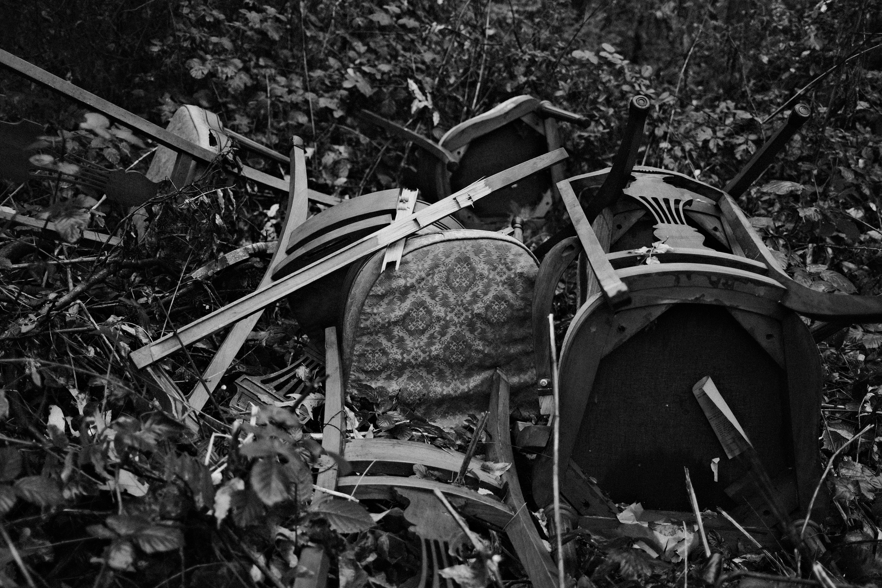 Pile of broken chairs with patterned upholstery, scattered in an overgrown area surrounded by leaves and branches. Black and white photograph.