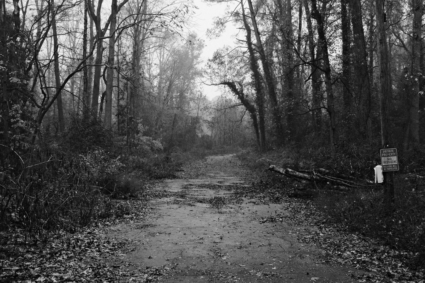 A black and white image of a deserted forest path surrounded by tall, leafless trees. The ground is covered with dried leaves. A sign on the right reads “Private Property, No Trespassing.” The atmosphere is misty and eerie.