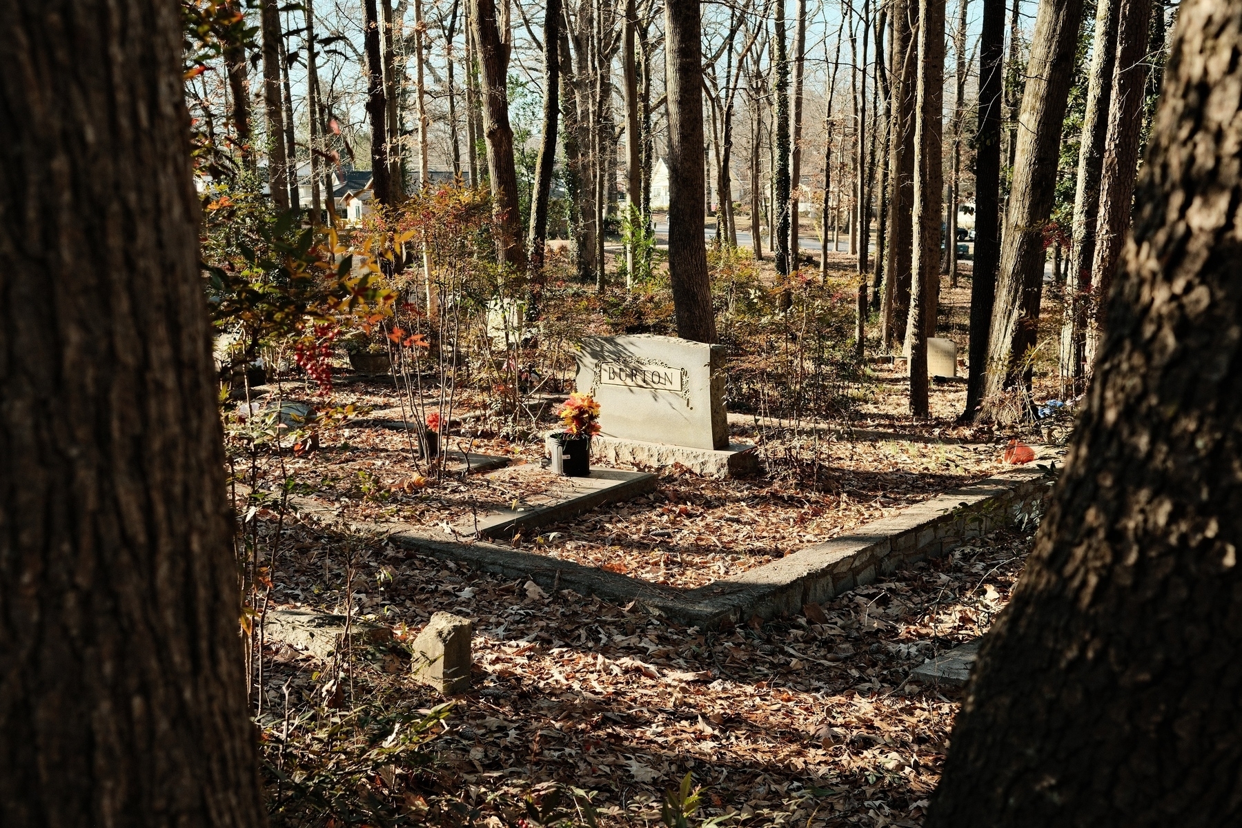 A cemetery scene in a wooded area. A headstone is visible with a flower arrangement in front. The ground is covered with fallen leaves, and there are trees and shrubs around the gravesite. Sunlight filters through the trees.