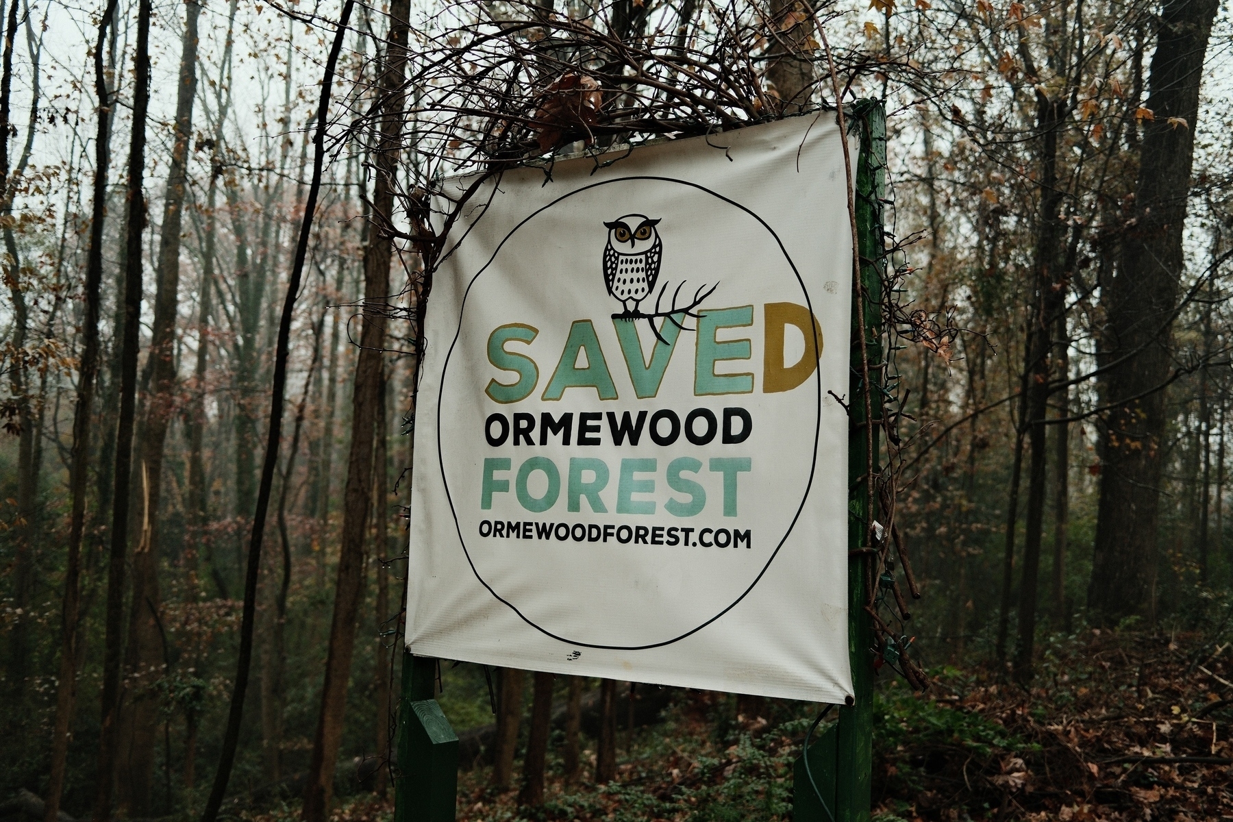 A sign in a forest reads “Saved Ormewood Forest” with an owl illustration and a web address, ormewoodforest.com. The sign is framed with twigs, and the forest is dense with leafless trees.