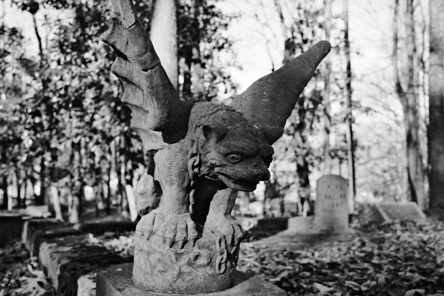 Auto-generated description: A stone gargoyle statue with wings sits among trees and gravestones in a cemetery setting.