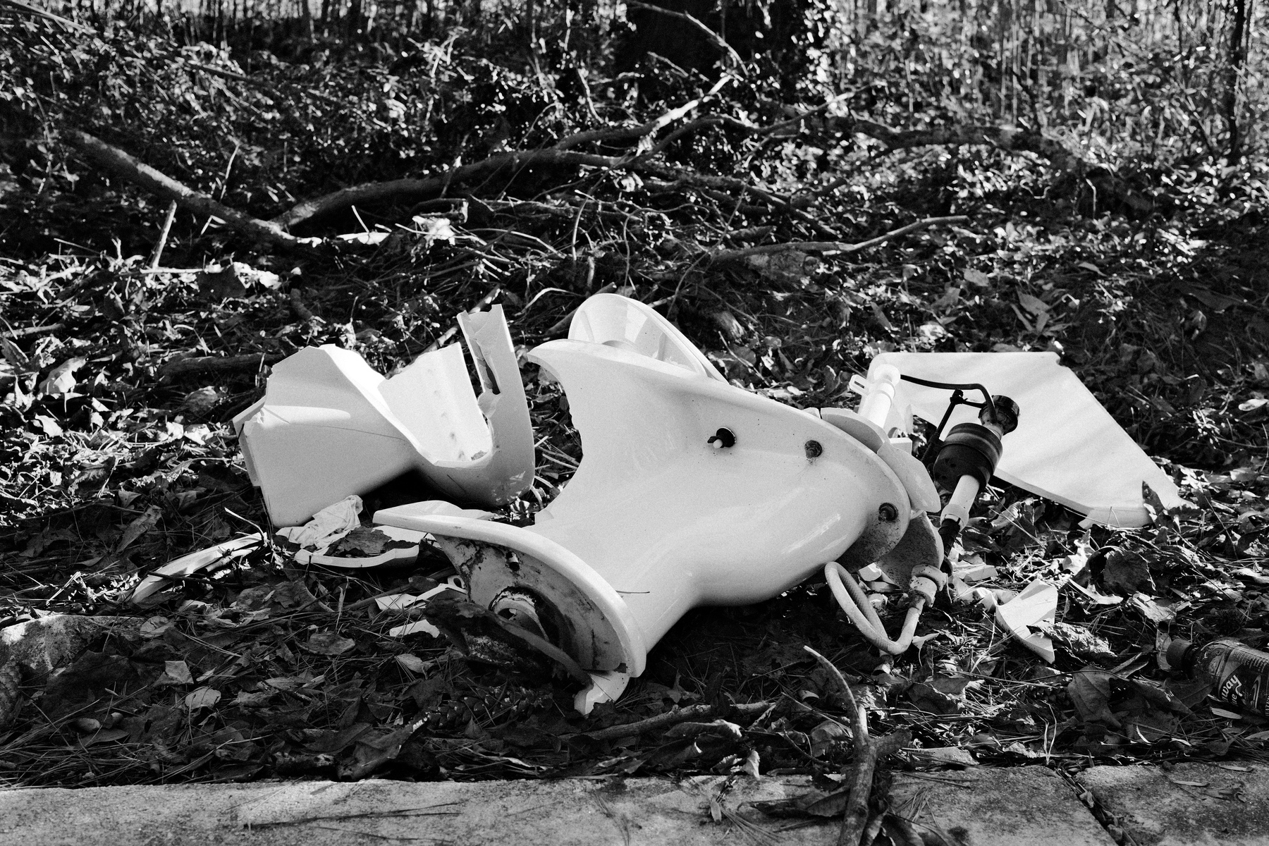 A broken white toilet lies among leaves and branches on the ground.