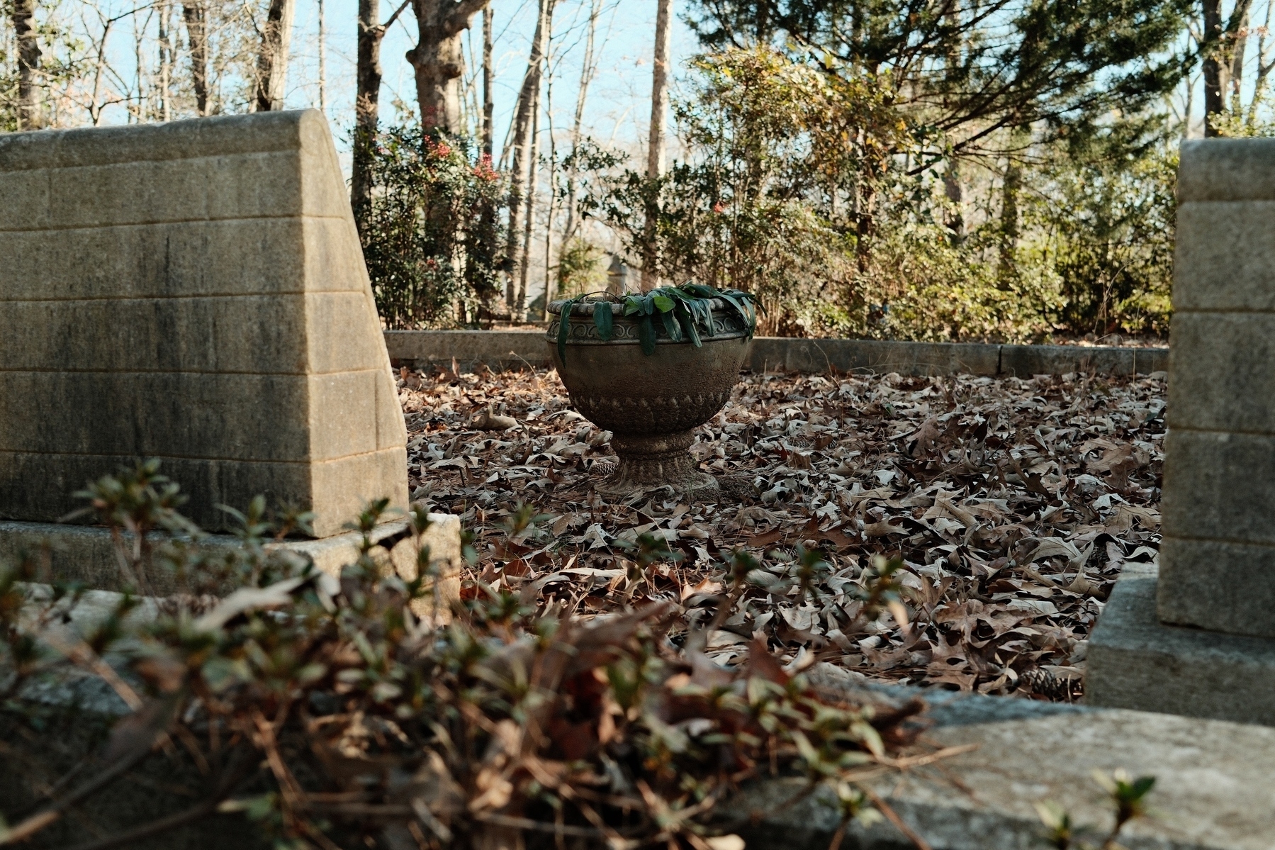 A stone planter sits on a bed of dry leaves, surrounded by low stone walls and greenery. Trees are in the background.