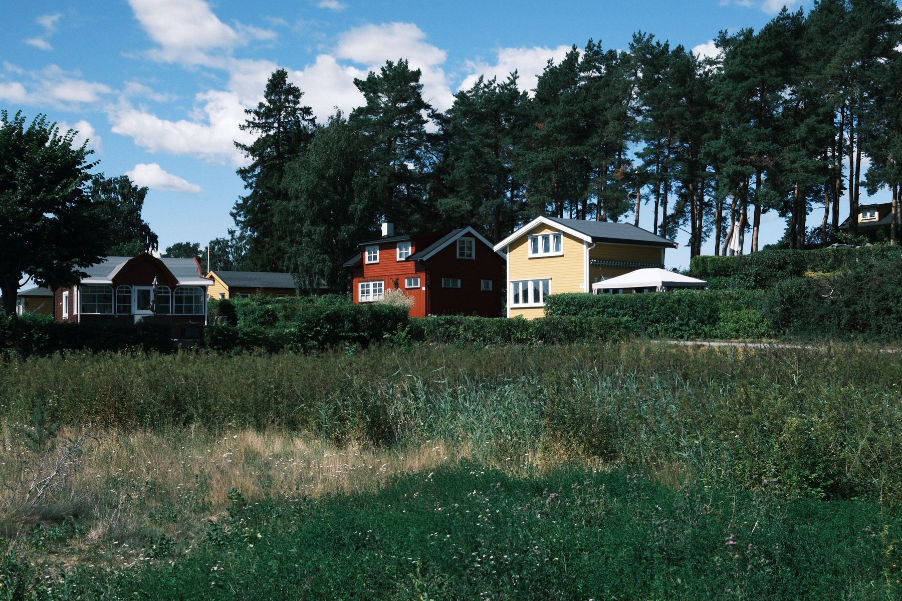 Auto-generated description: A peaceful countryside scene with several houses nestled among tall trees under a blue sky with scattered clouds.
