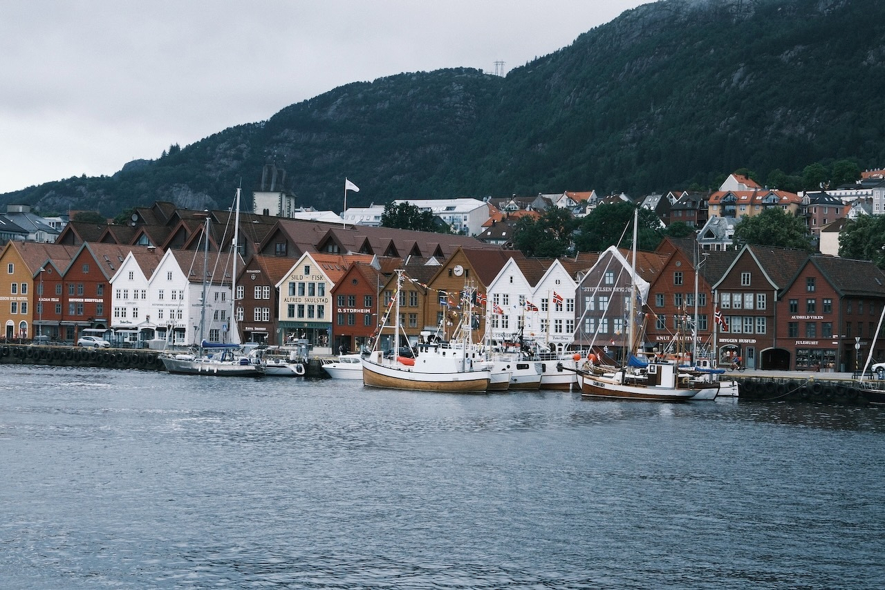 Auto-generated description: Colorful wooden houses line the waterfront with several boats docked in the harbor and a mountain in the background.