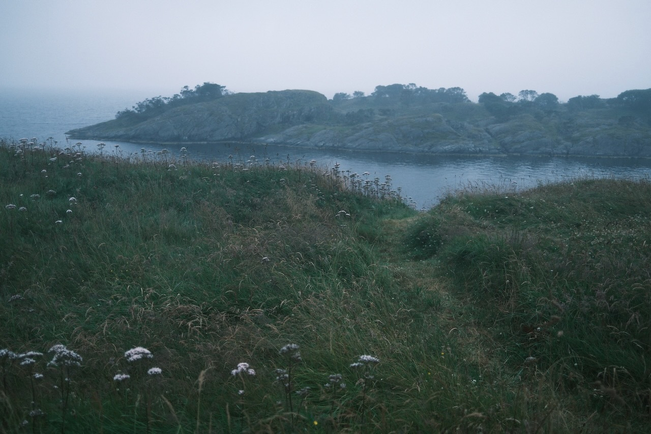 Auto-generated description: A misty coastal scene with grassy terrain in the foreground and a rocky, tree-covered island surrounded by calm water in the background.