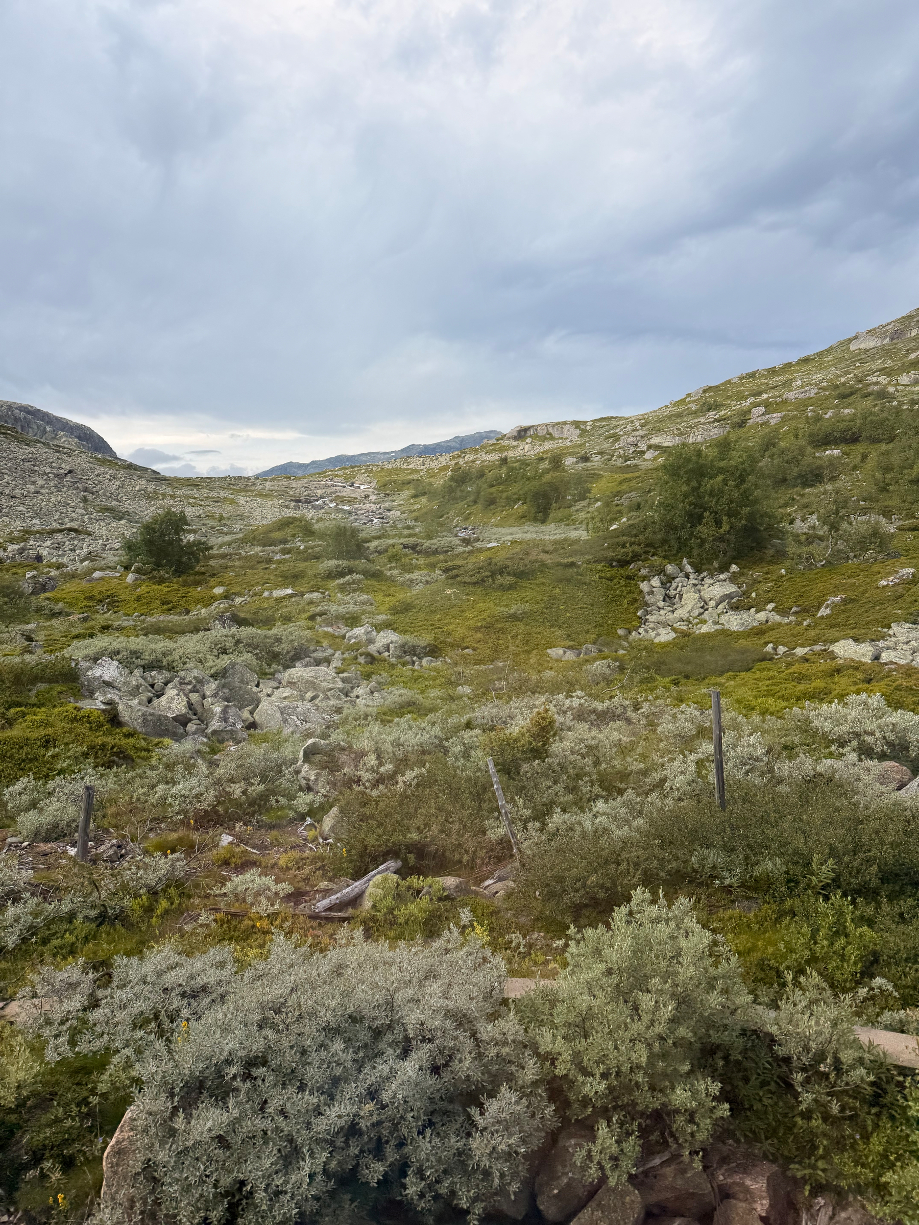 Auto-generated description: A rocky hillside covered with green shrubs and sparse trees stretches under a cloudy sky.