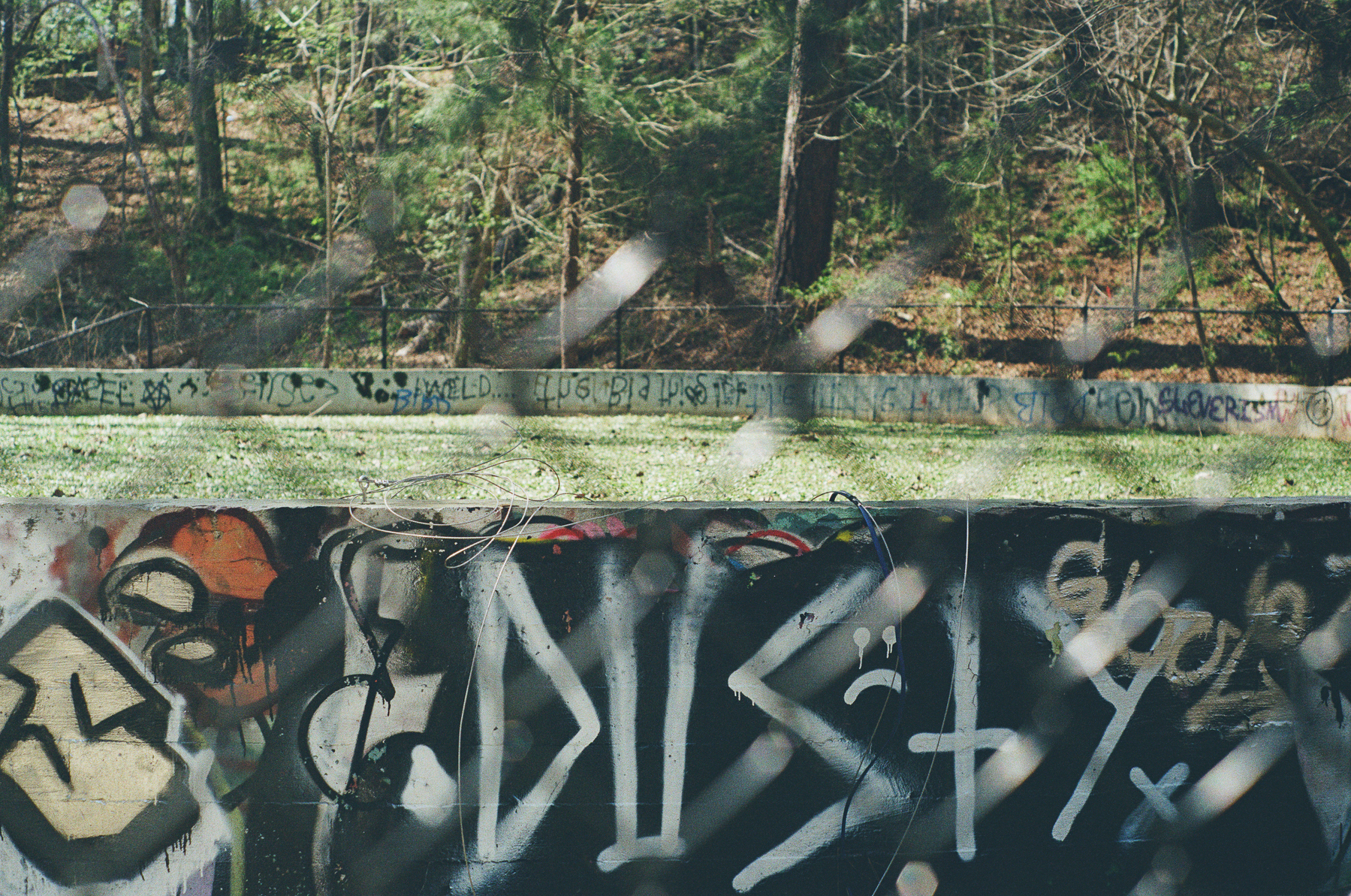Behind a chain-link fence, graffiti covers a concrete wall in a wooded area.