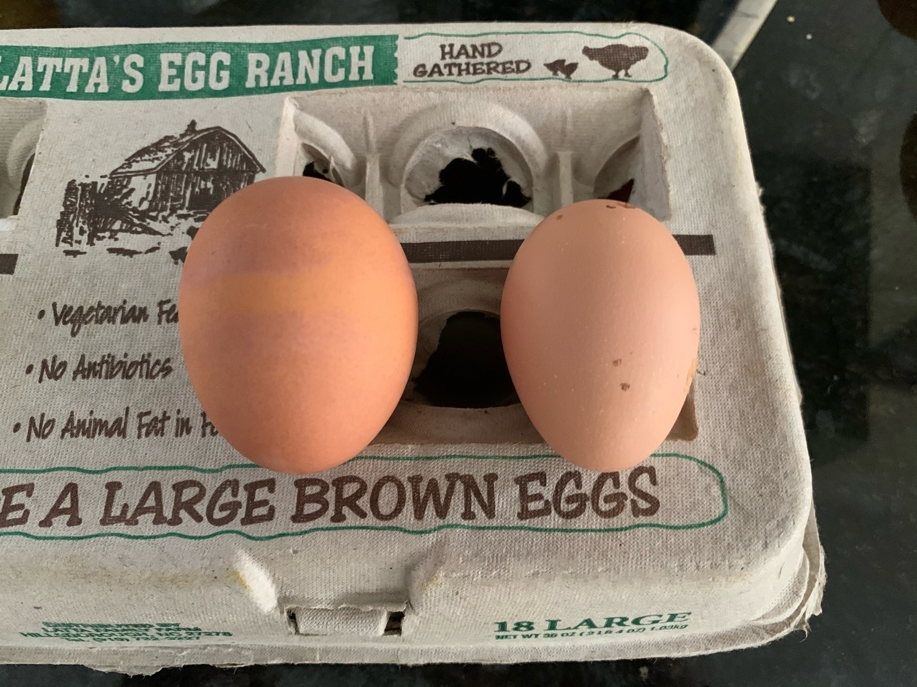 Store bought egg (left) next to our hen Latte's first egg (right).