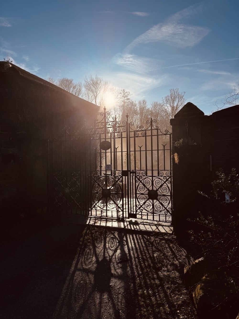 An ornate wrought iron gate casts intricate shadows on the ground as sunlight filters through, with trees silhouetted in the background.