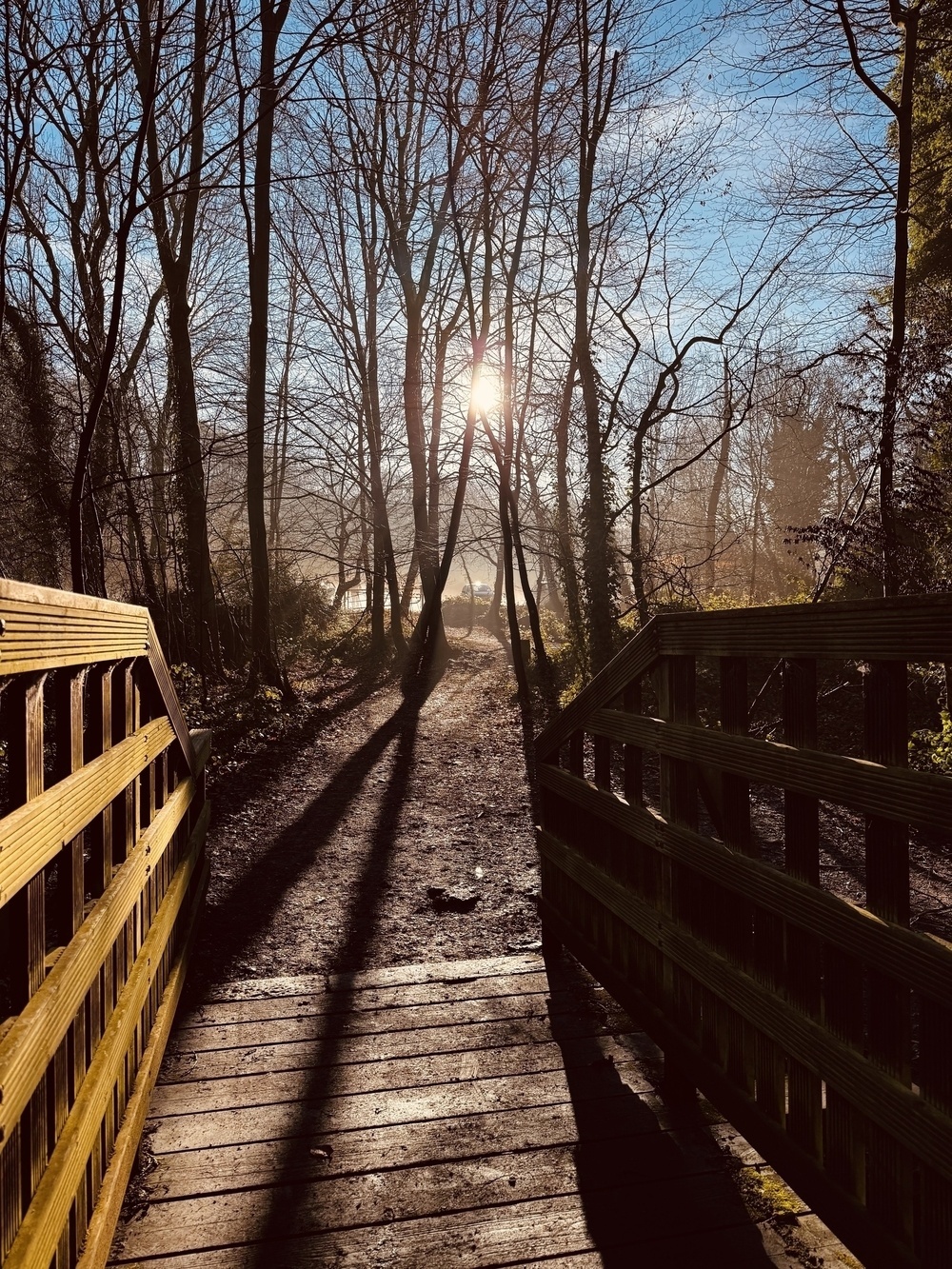 A wooden footbridge leads into a sunlit, tree-lined path with bare branches and a bright sun in the background.