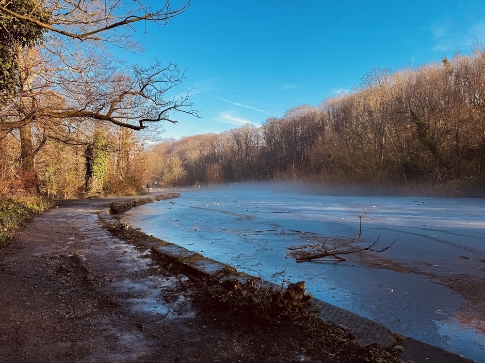 A serene winter landscape features a frozen lake beside a tree-lined pathway under a clear blue sky.