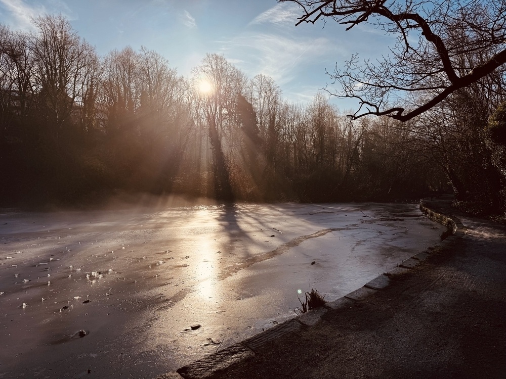 A serene winter landscape features a sunlit, frozen lake surrounded by bare trees, casting long shadows on the ice.