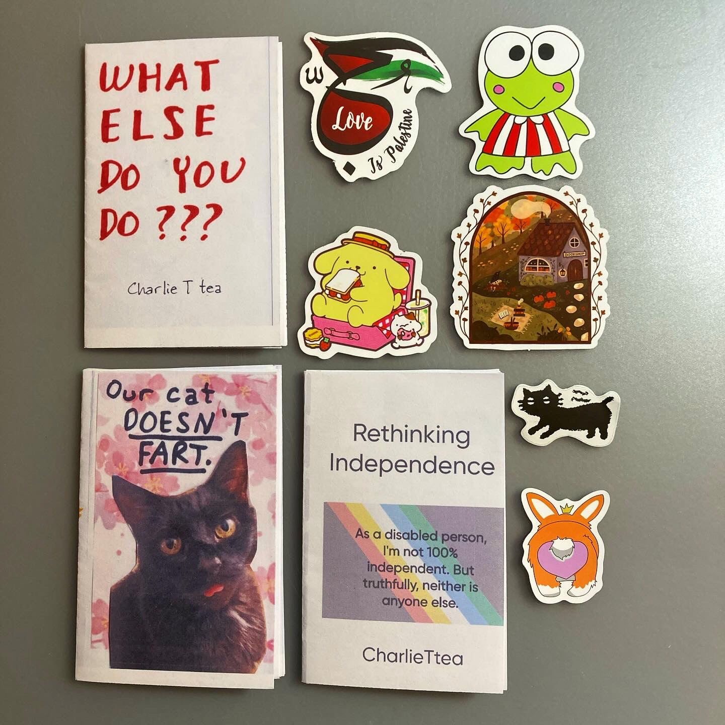 Three mini zines and several stickers.