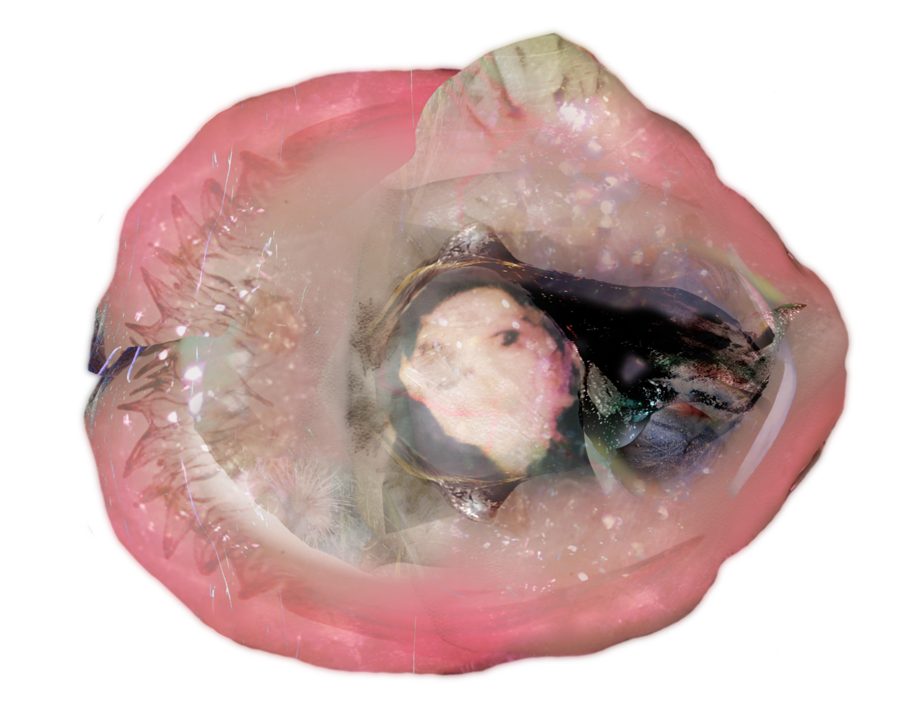 Auto-generated description: A surreal composition featuring a pink, fleshy surface resembling an open clam with a distorted central figure inside.