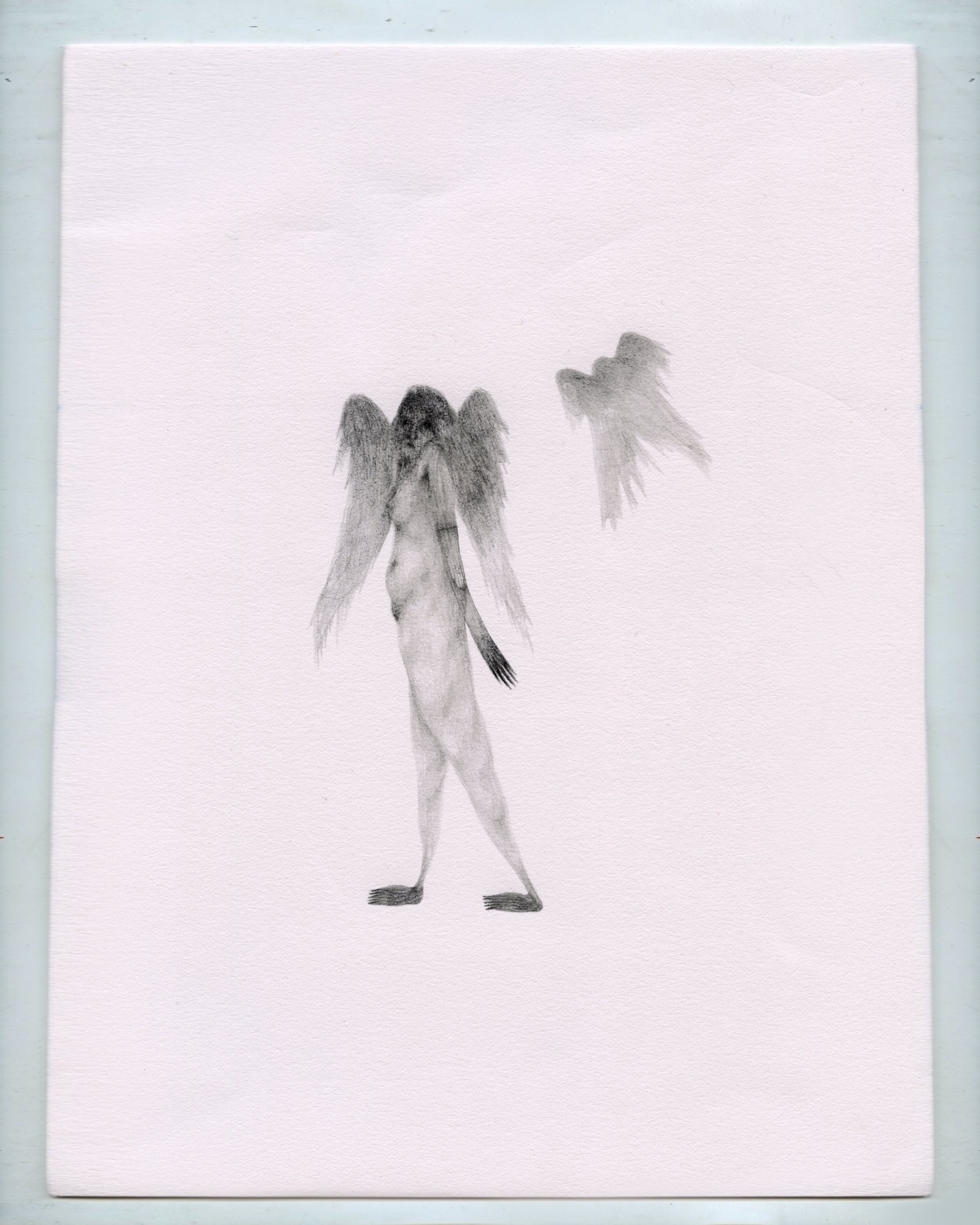 Auto-generated description: A pencil drawing depicts a humanoid figure with wings, standing against a light background, alongside a smaller, shadowy winged silhouette.