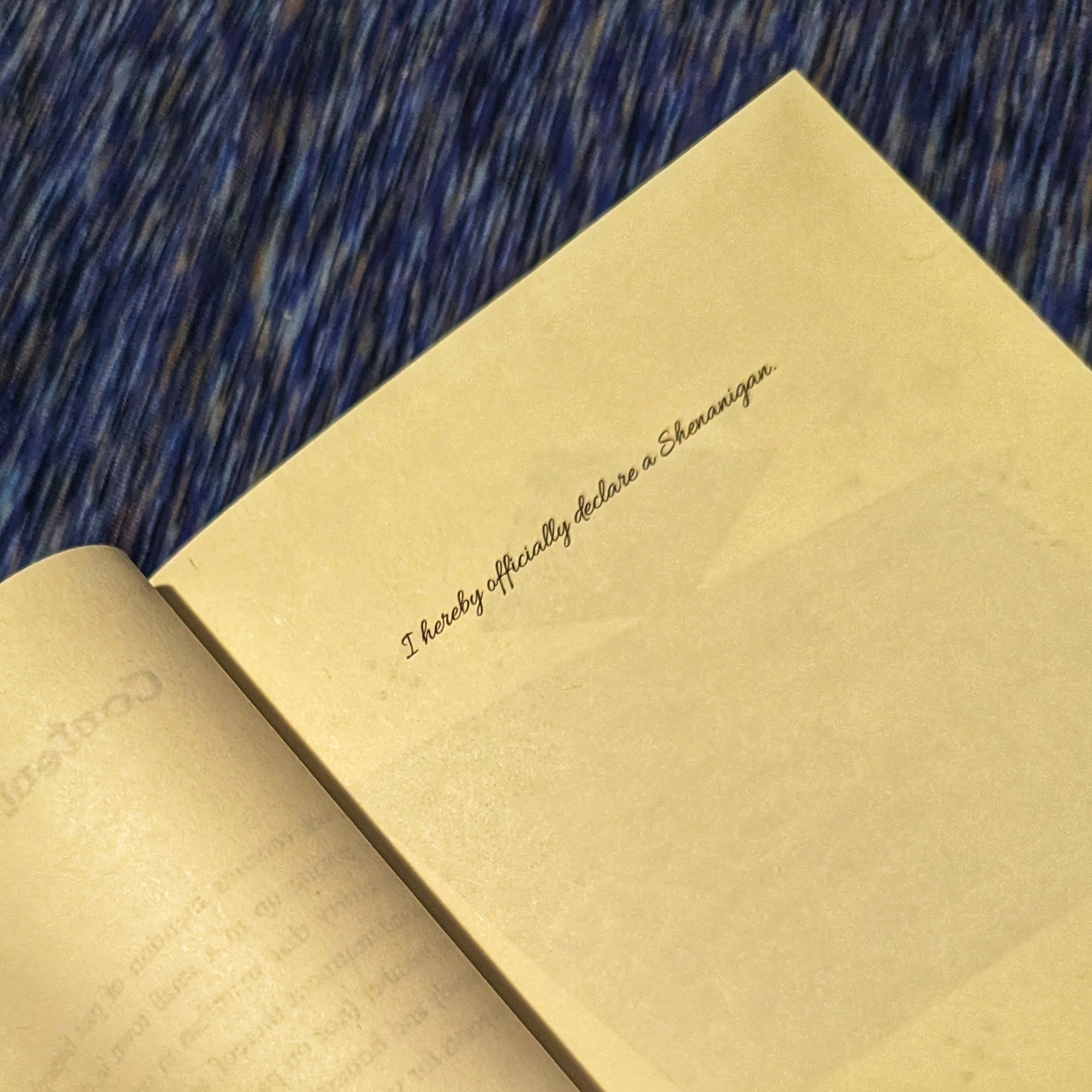 A close-up view of an open book with an inscription on the blank page in a handwriting font. The inscription reads: I hereby officially declare a Shenanigan.