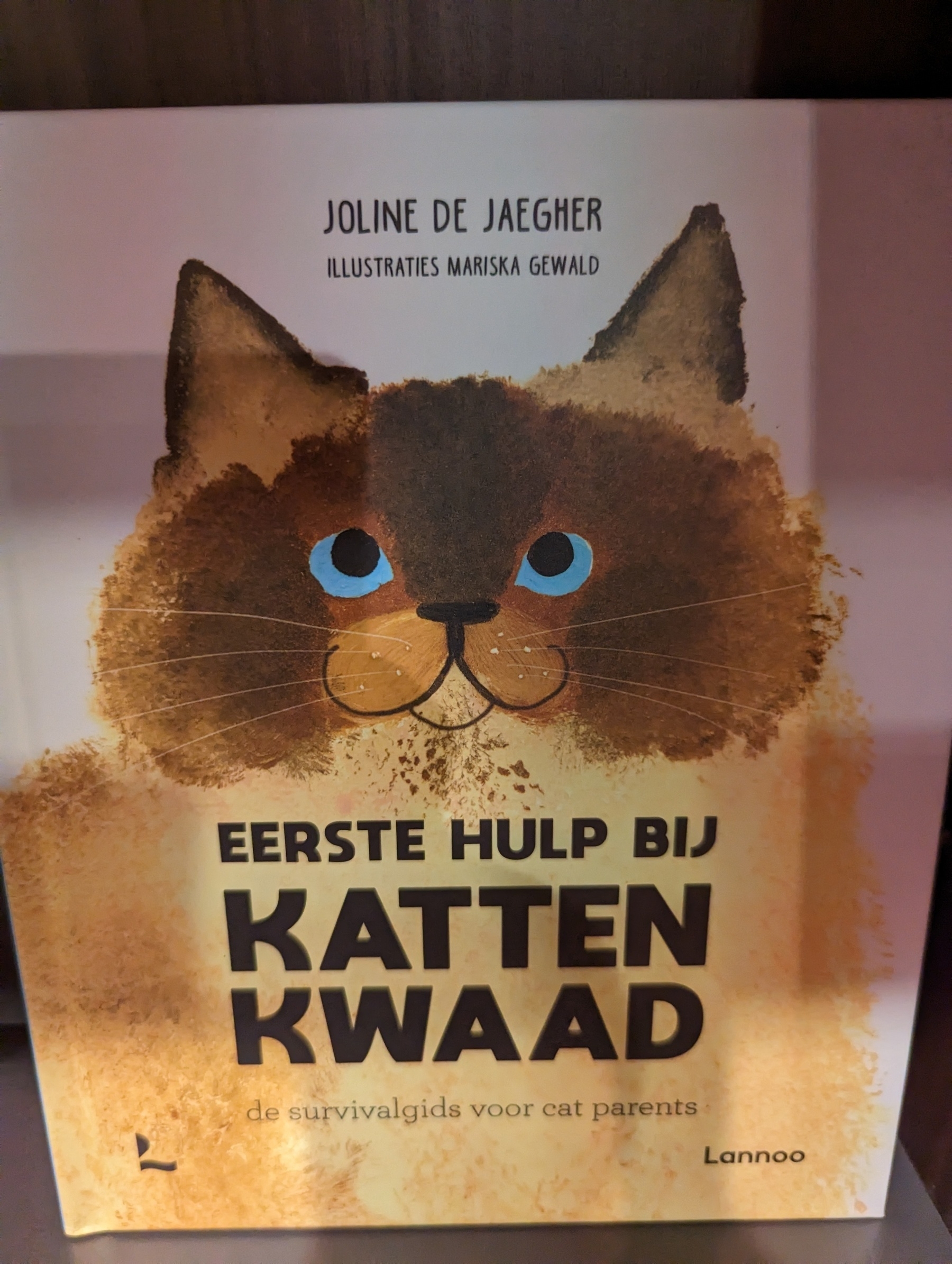 Dutch book: Eerste Hulp Bij Kattenkwaad - First Aid for Mischief