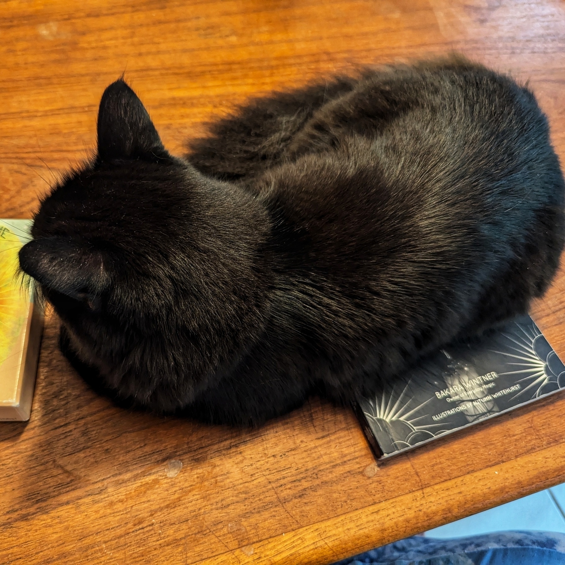 A black cat sits on a book.